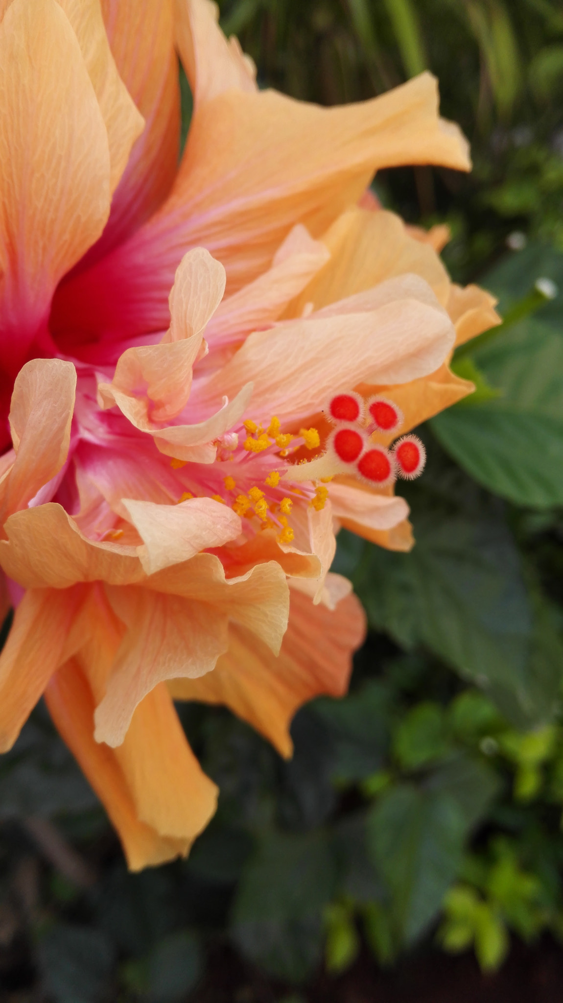 HUAWEI H60-L01 sample photo