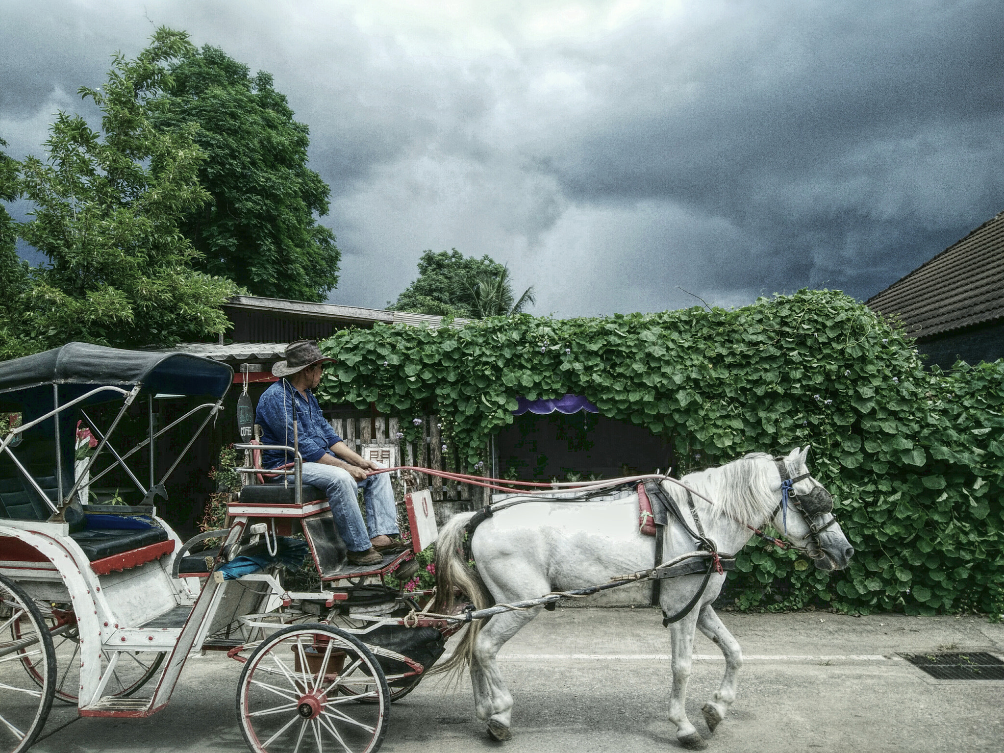 OPPO R7sfg sample photo. Rain coming photography