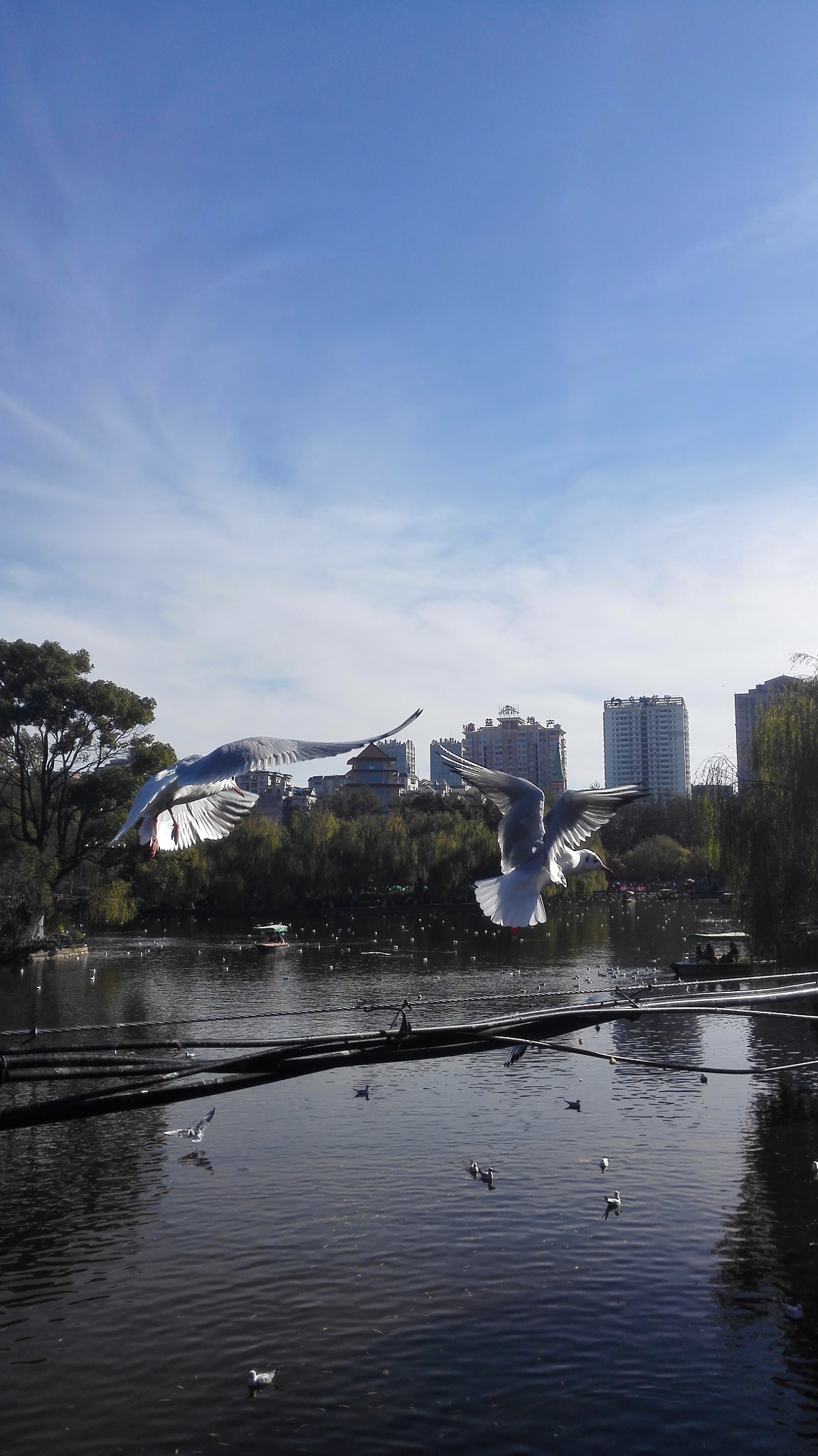 HUAWEI H60-L01 sample photo