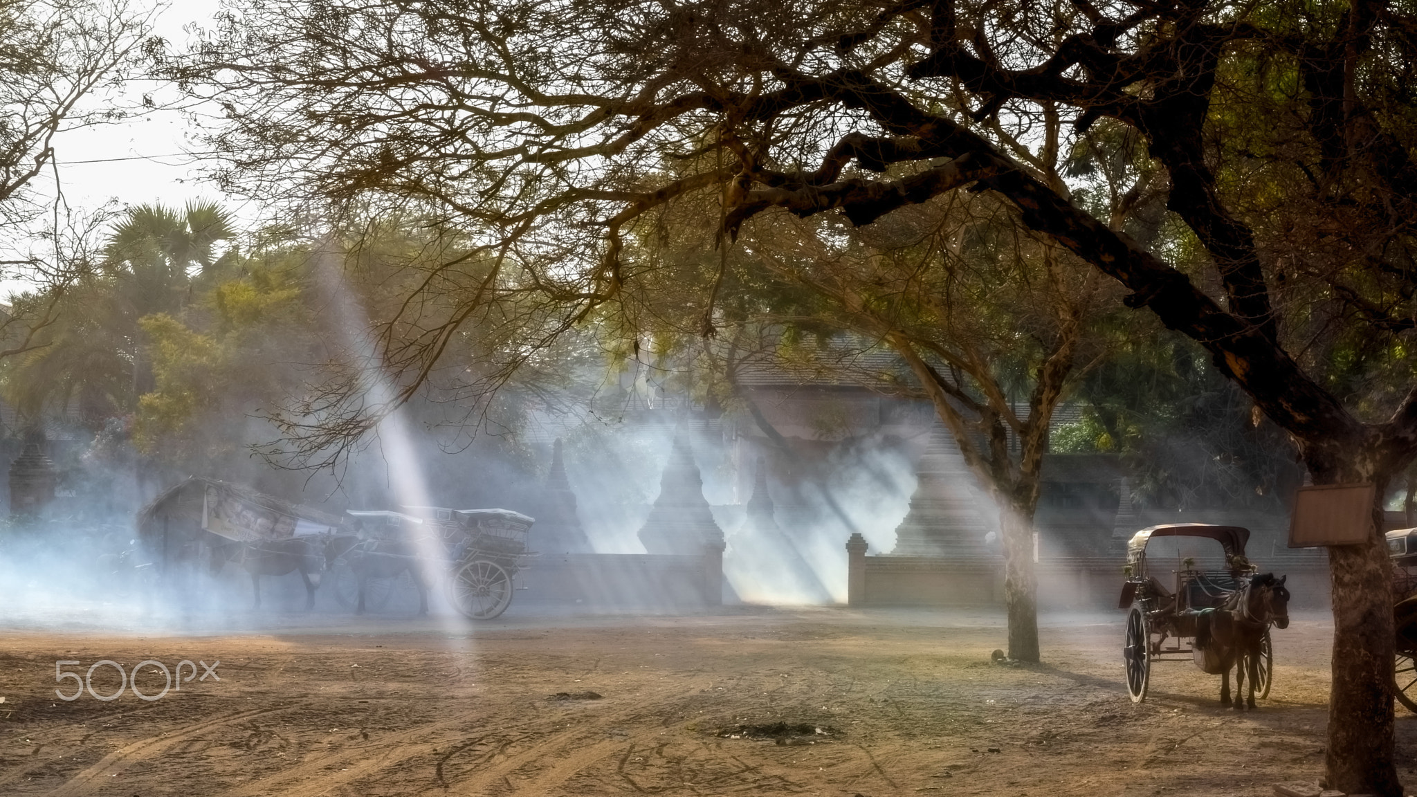 afternoon sunlight in Pagan, Myanmar蒲甘下午