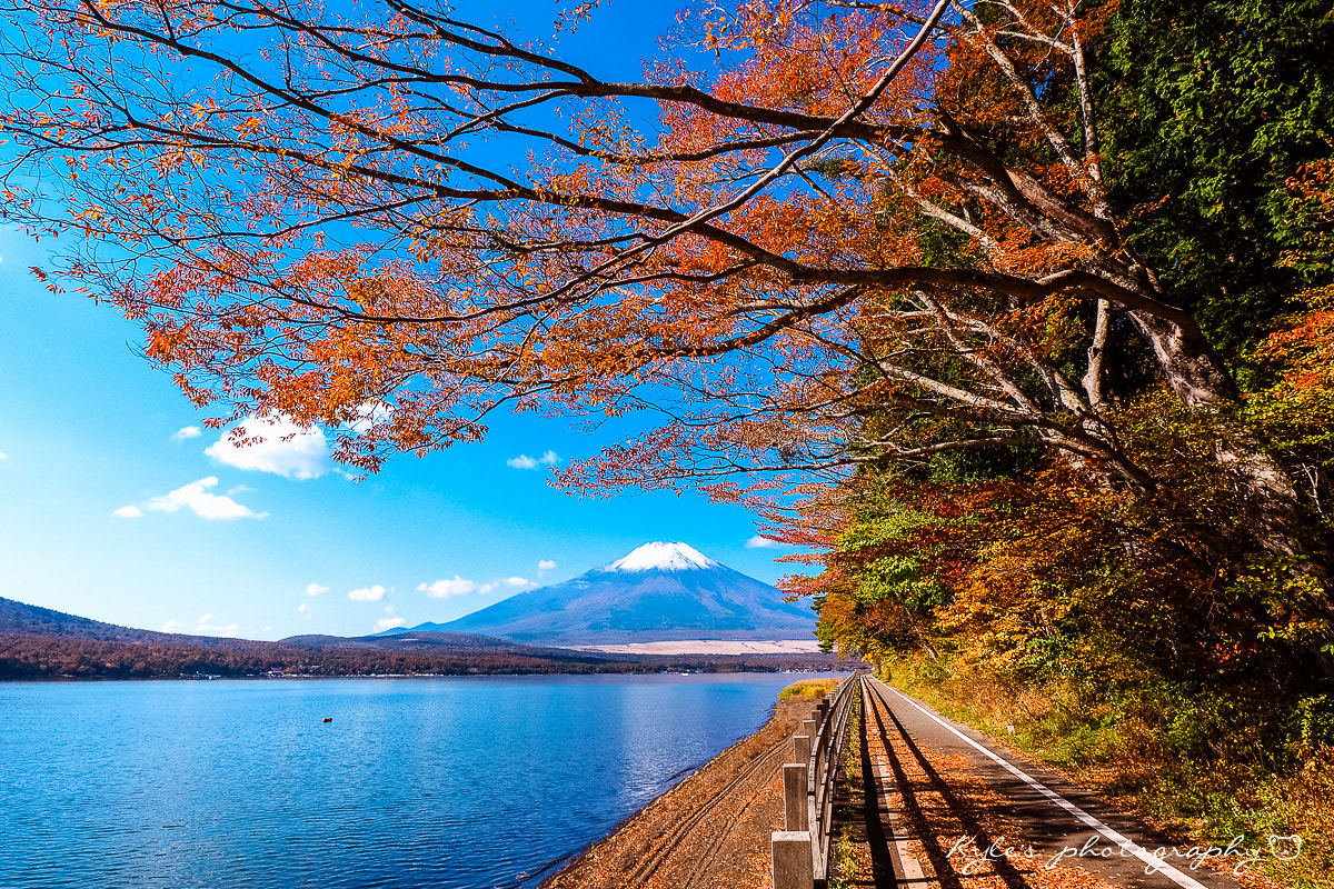 Olympus Zuiko Digital ED 9-18mm F4.0-5.6 sample photo. 富士山 photography