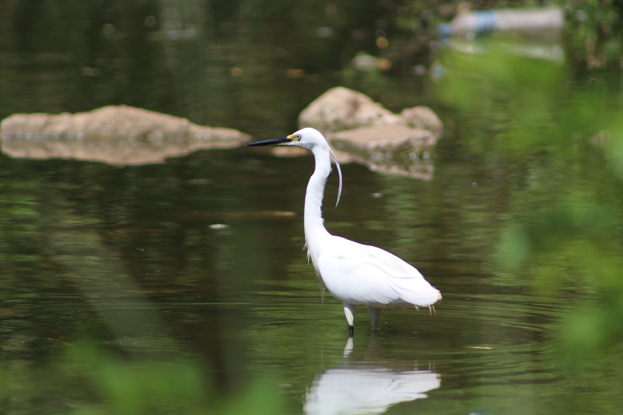 Canon EF 75-300mm f/4-5.6 USM sample photo