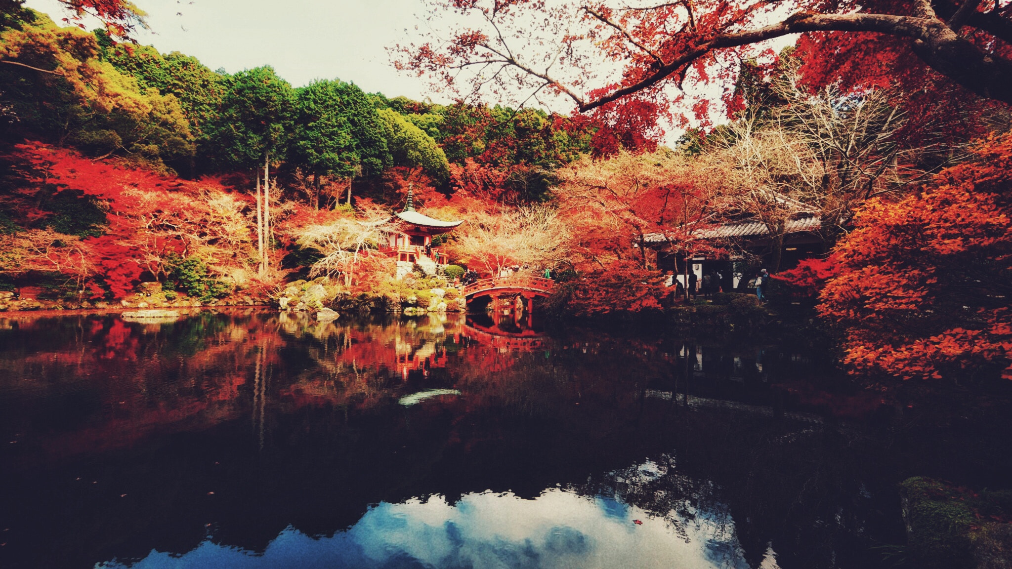 Olympus PEN-F + Panasonic Lumix G Vario 7-14mm F4 ASPH sample photo. Kyoto photography