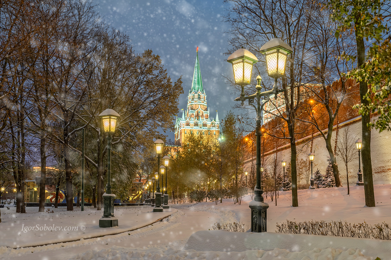 Sony a7R + Canon EF 17-40mm F4L USM sample photo. The snow at the walls of the moscow kremlin photography