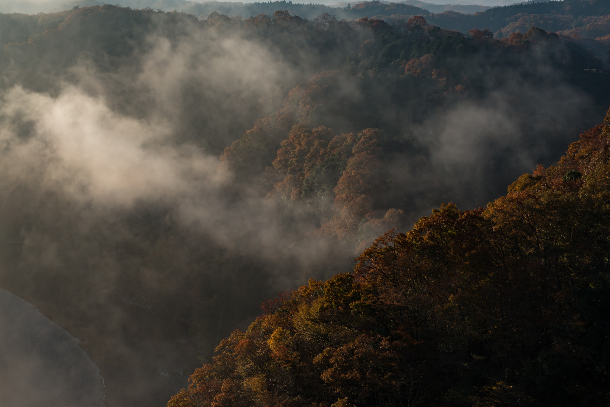 Nikon D800 sample photo. Morning mist photography