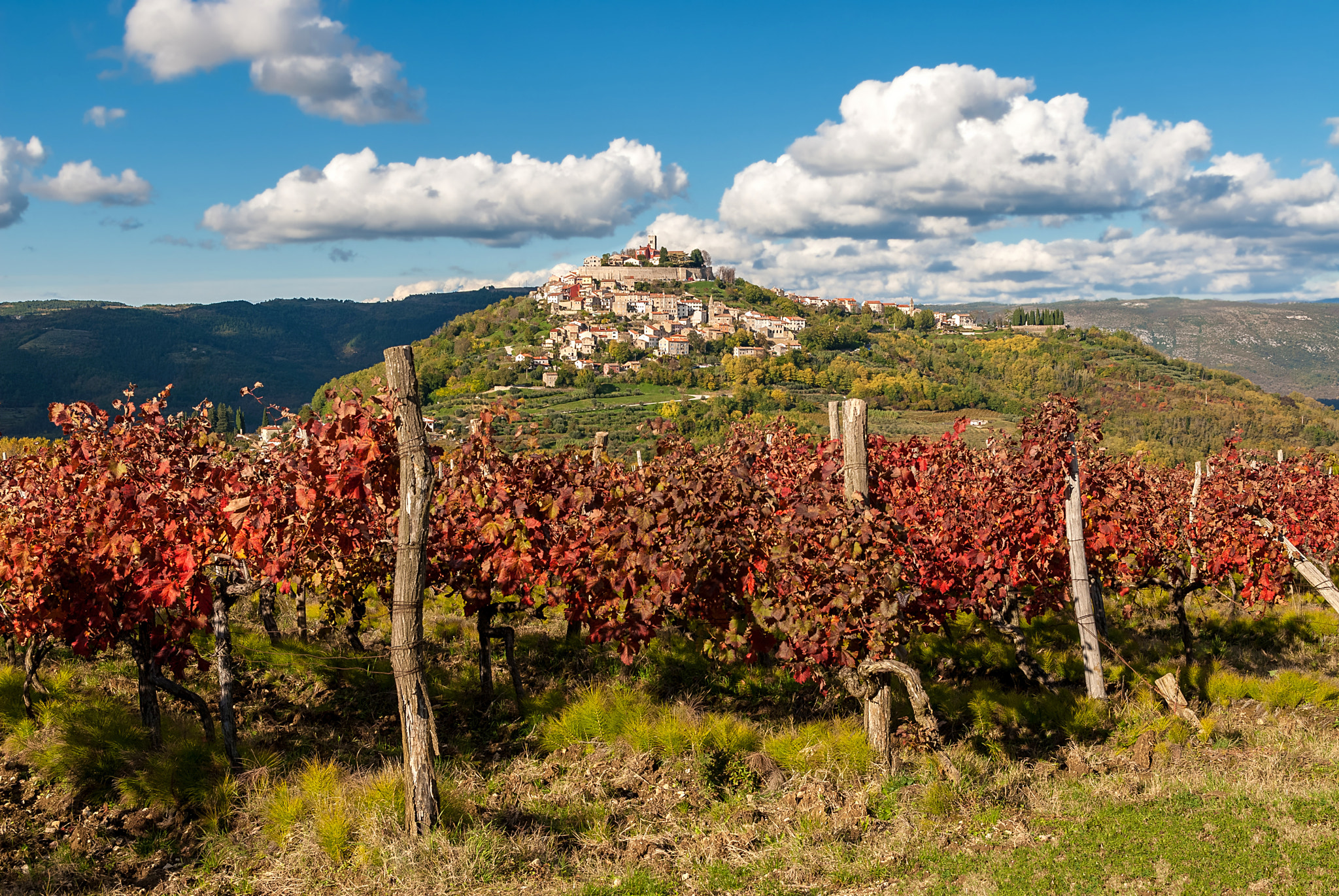 Sigma 17-50mm F2.8 EX DC OS HSM sample photo. Motovun, croatia photography
