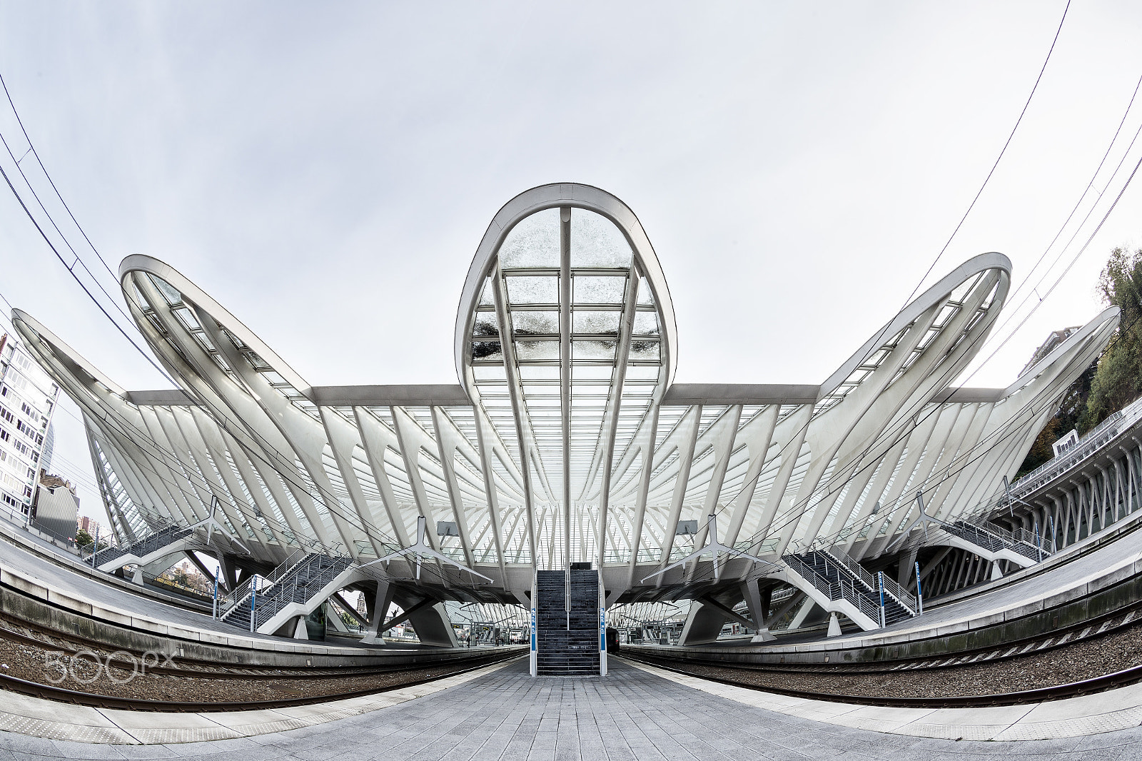Canon EF 8-15mm F4L Fisheye USM sample photo. Liège-guillemins photography