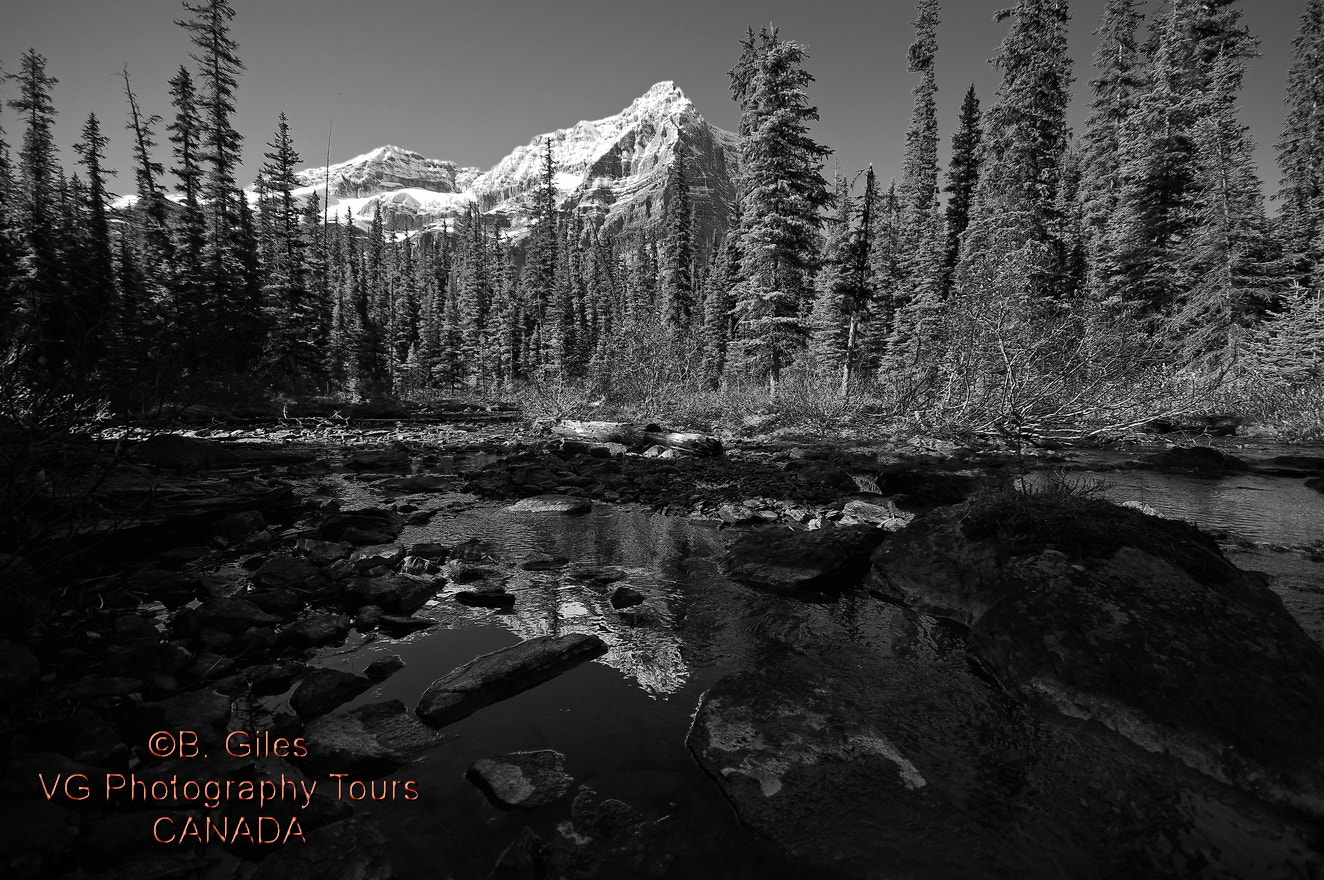 Pentax K-3 sample photo. Rocky mountain fall photography