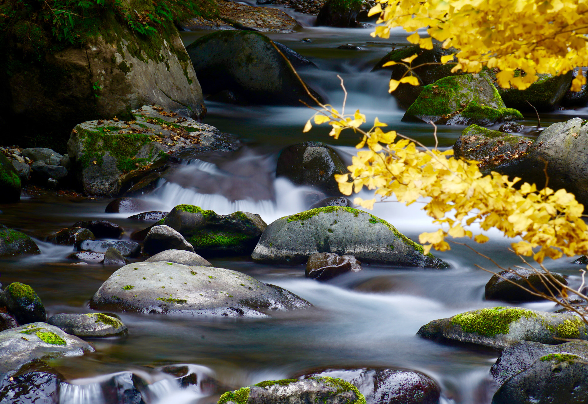 Sony FE 24-240mm F3.5-6.3 OSS sample photo. 伊豆，japan photography