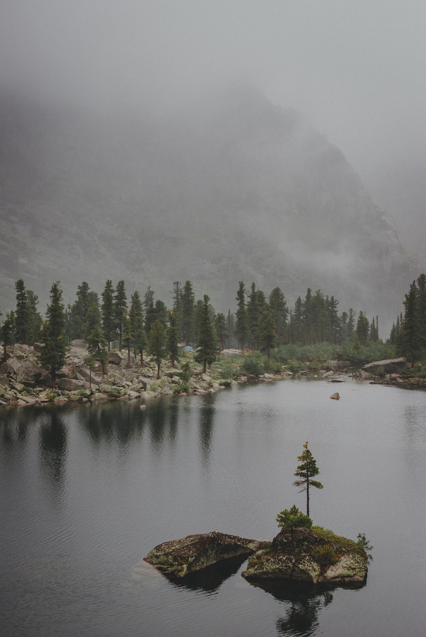 Nikon D80 sample photo. Beautiful landscape morning over stream and pine tree camping in photography