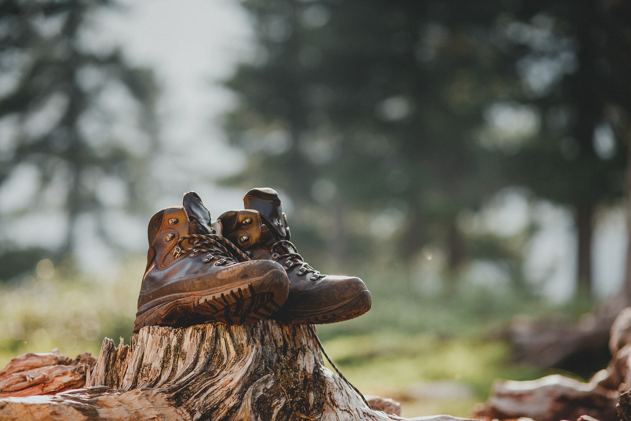 Canon EOS 5D sample photo. Hiking boot after a track on the camping photography