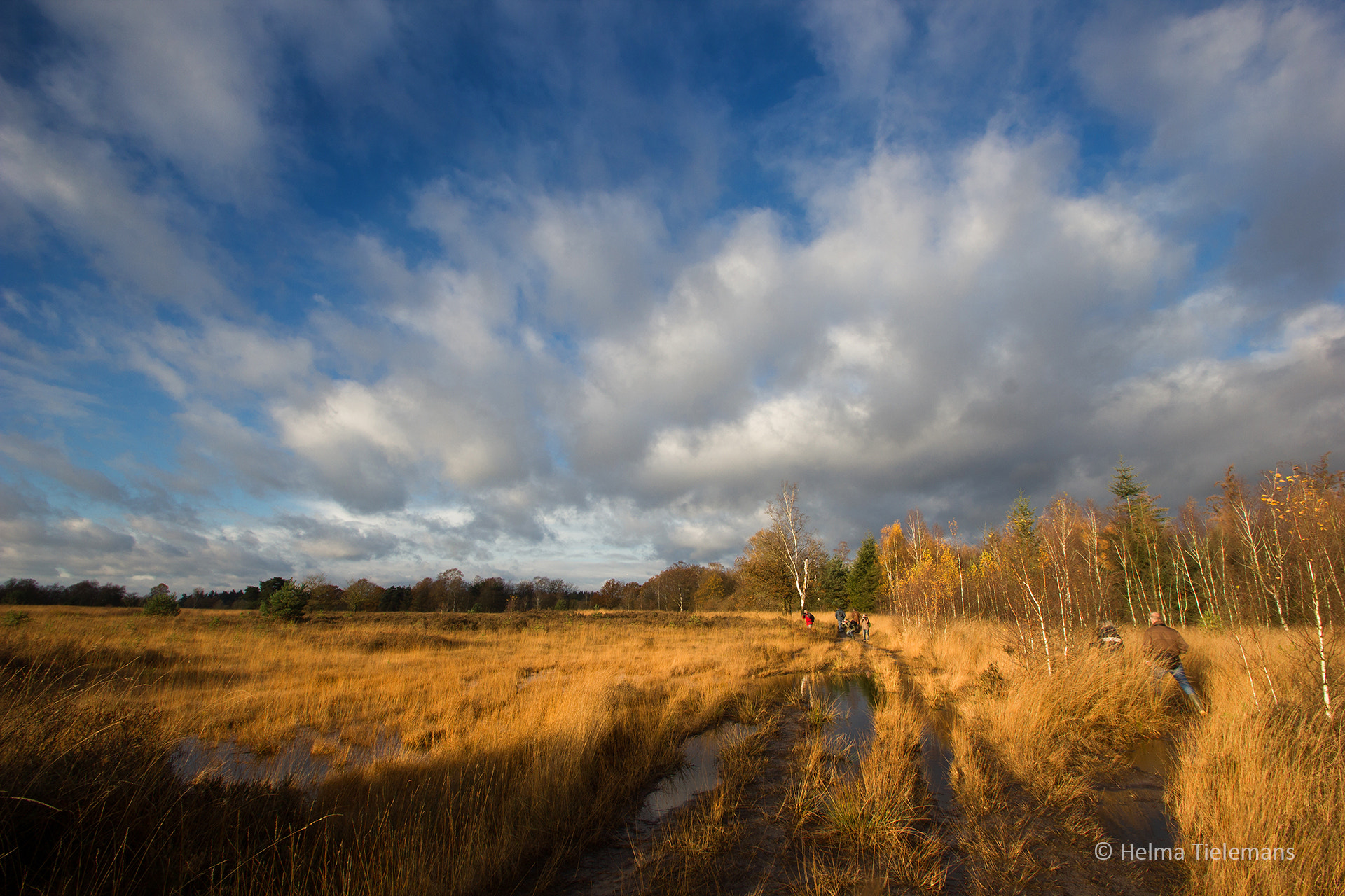 Sigma 10-20mm F3.5 EX DC HSM sample photo. Leenderheide photography