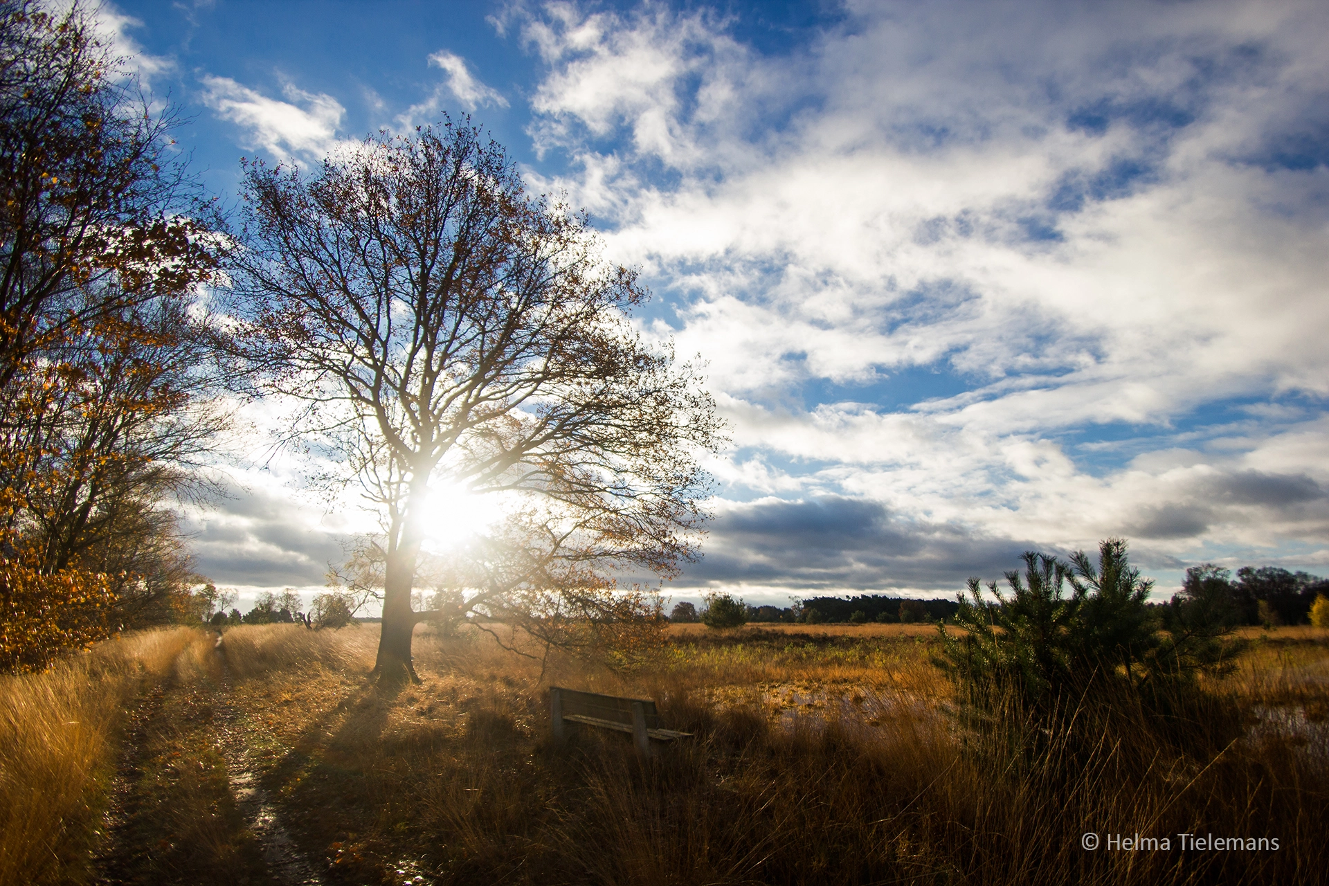Sigma 10-20mm F3.5 EX DC HSM sample photo. Leenderheide photography