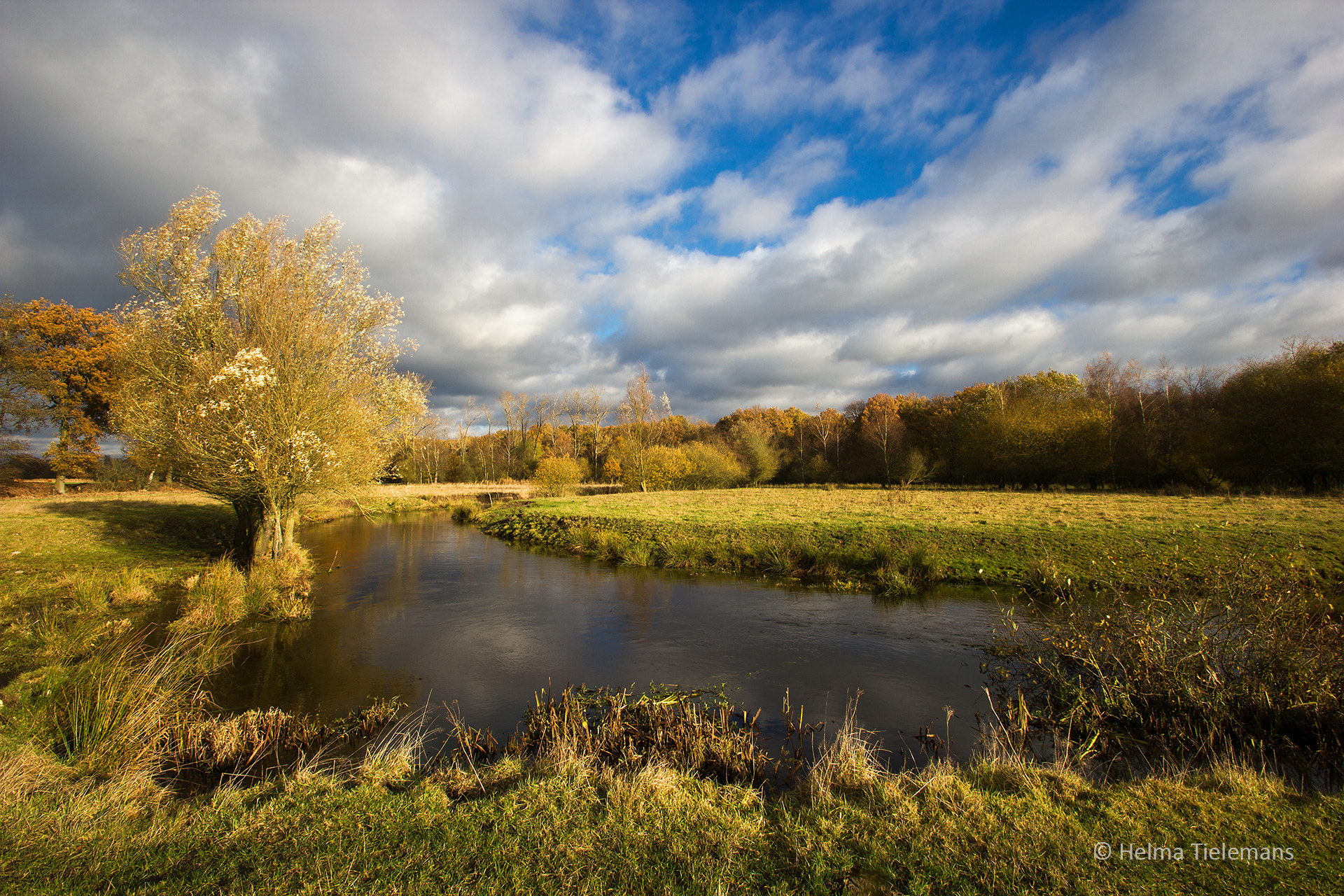 Sigma 10-20mm F3.5 EX DC HSM sample photo. Leenderheide photography