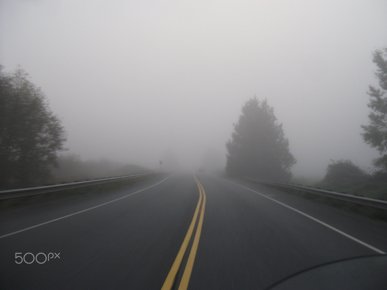 Fujifilm A220 A230 sample photo. Into the fog photography