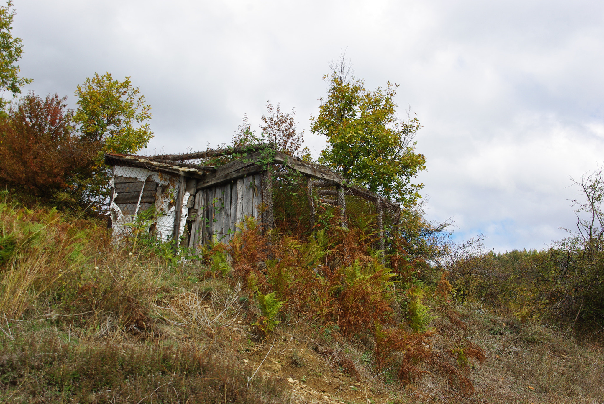 Pentax K-m (K2000) + Sigma 18-200mm F3.5-6.3 DC sample photo. Something like house, but is cool :) photography