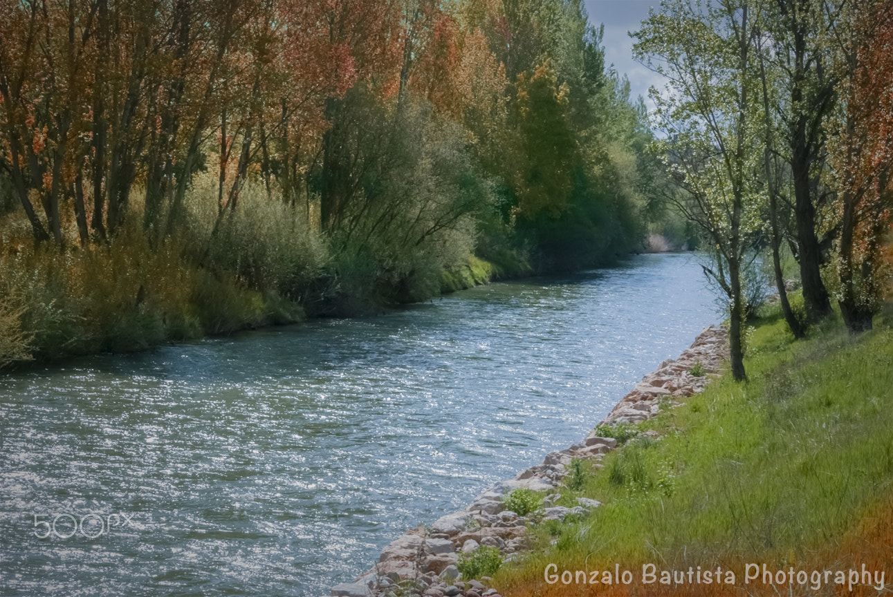 Nikon D40X sample photo. Bernesga river. photography