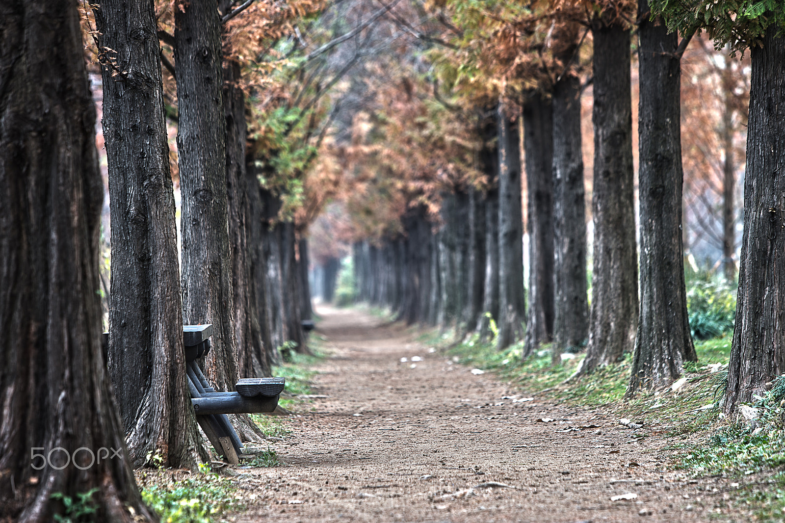 Canon EF 70-200mm F2.8L IS USM sample photo. Spend late autumn #3 photography