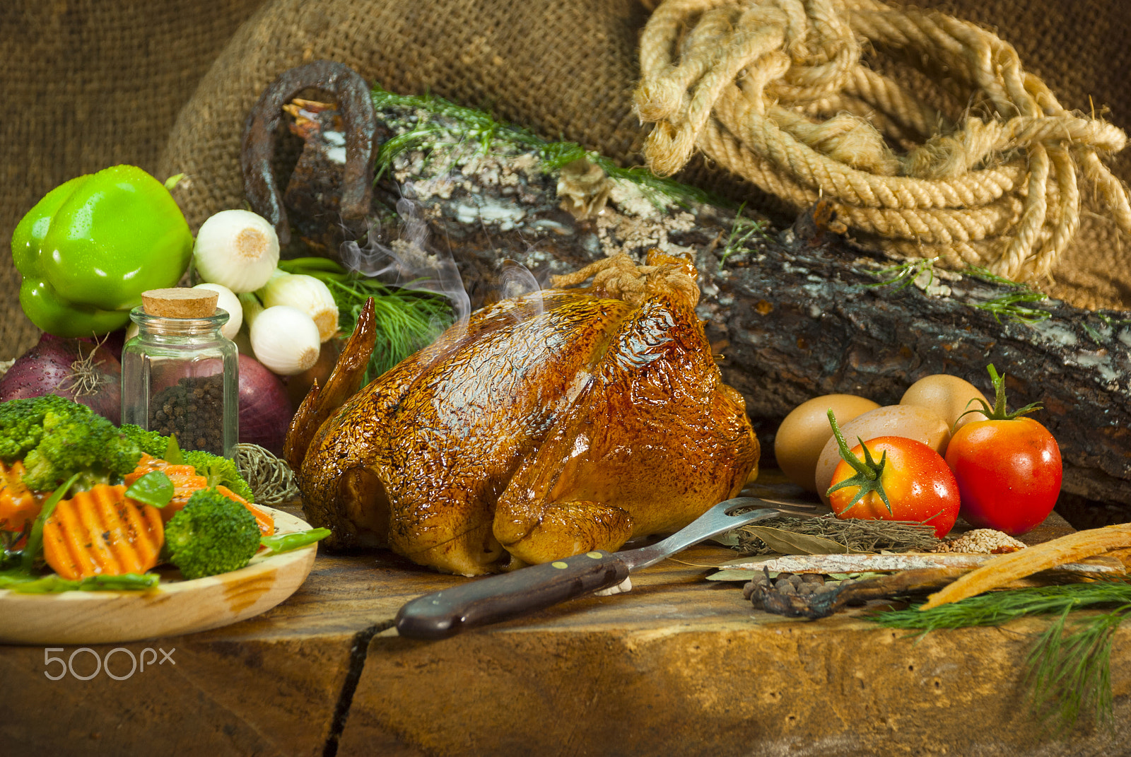 Nikon D200 sample photo. Roast chicken photography