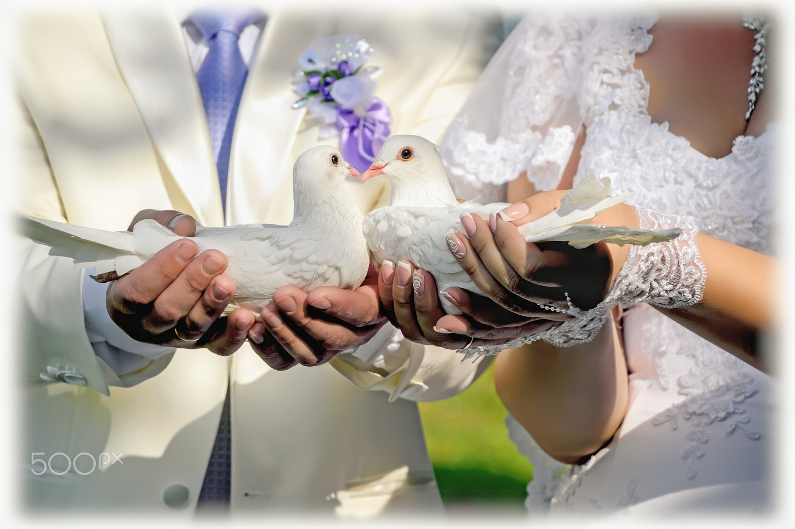 Nikon D3100 + Nikon AF-S DX Nikkor 18-135mm F3.5-5.6G ED-IF sample photo. Newlyweds are holding a pair of white doves photography