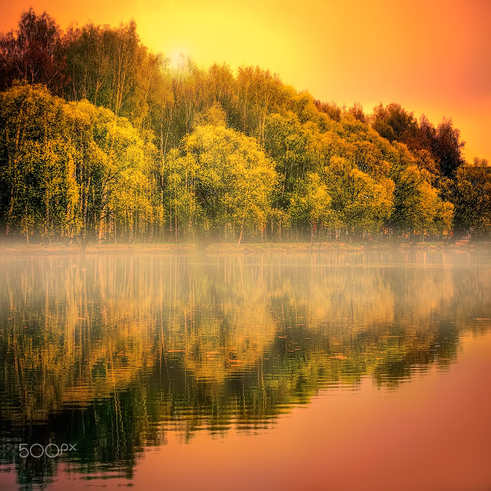 Nikon D3100 sample photo. Golden sunset over the misty lake in autumn park photography