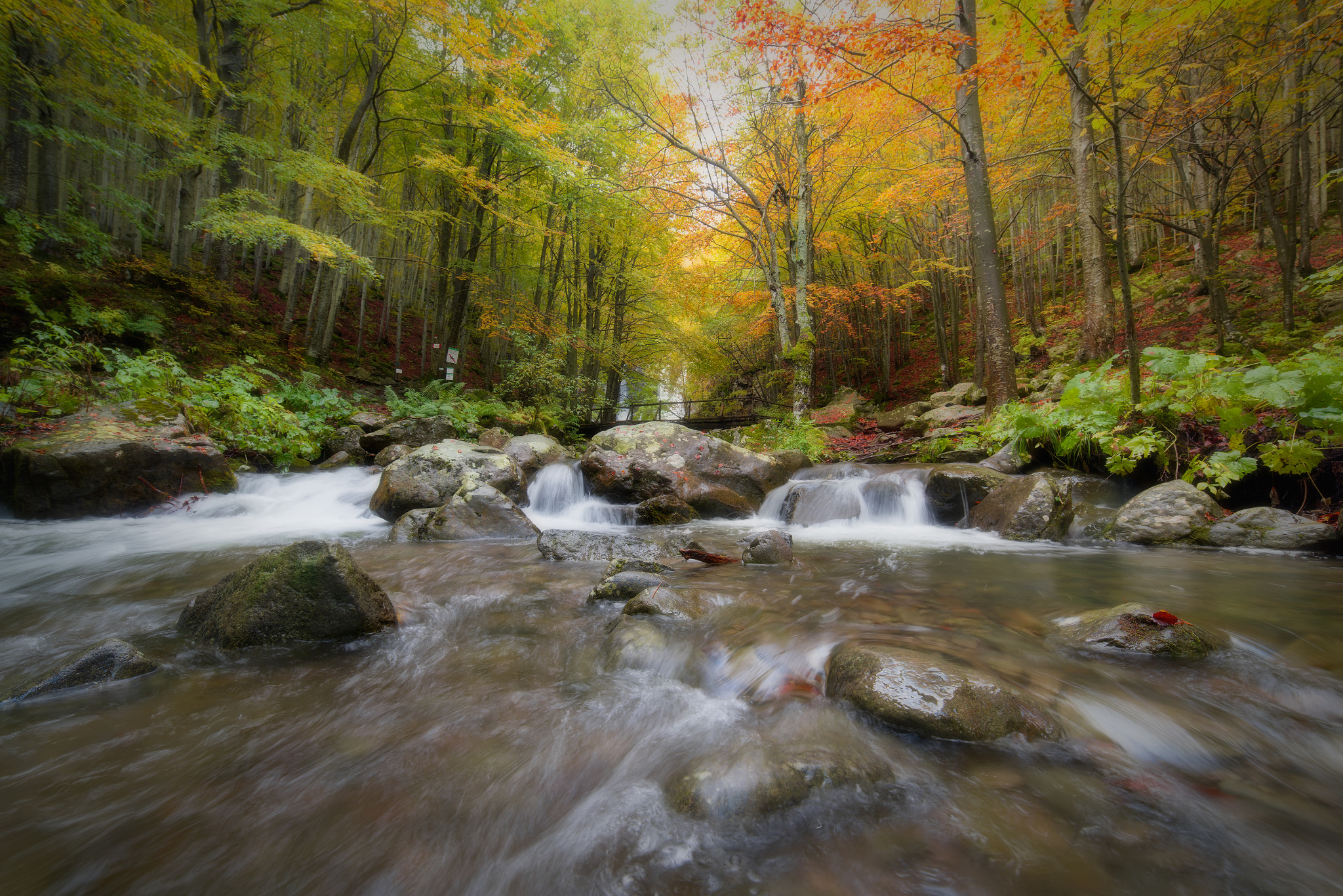 Samyang 14mm F2.8 ED AS IF UMC sample photo. Waterfall of dardagna photography