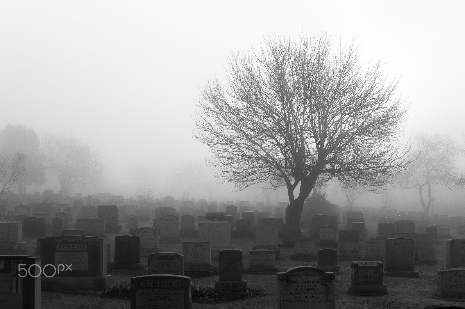 Canon EOS 650D (EOS Rebel T4i / EOS Kiss X6i) sample photo. Misty cemetery photography