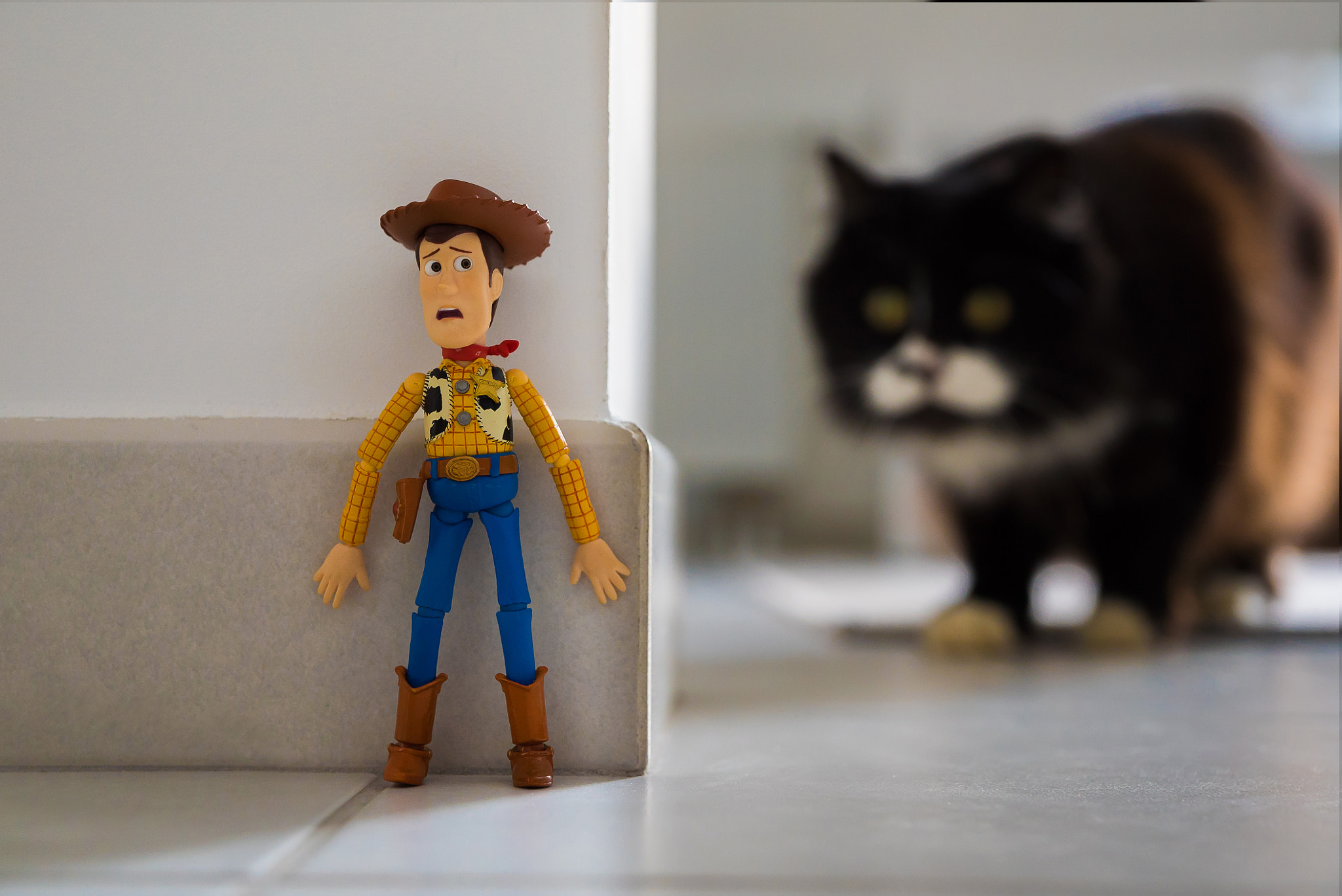 Sony a7S sample photo. Hunted ! photography