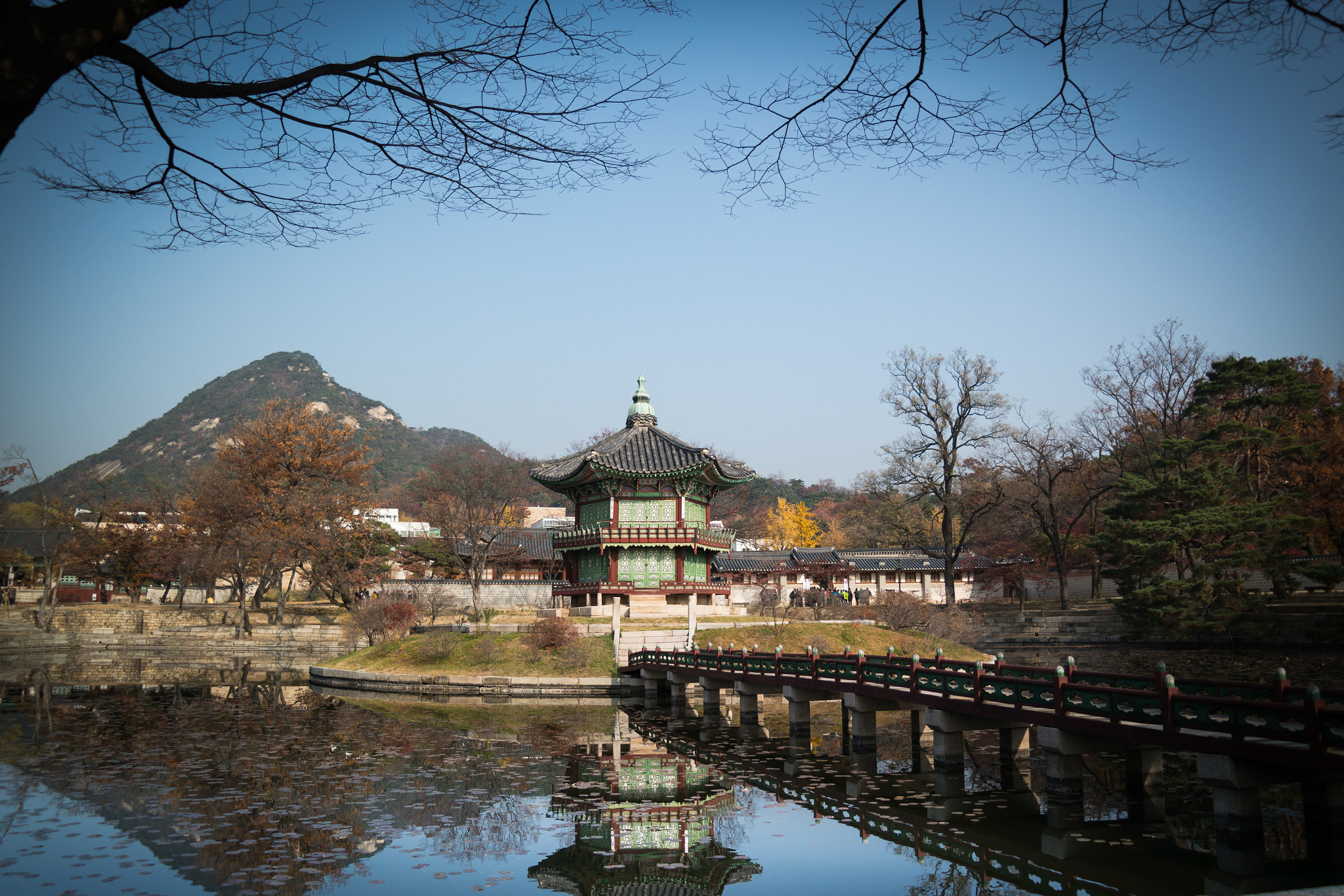 Samsung NX30 + Samsung NX 18-55mm F3.5-5.6 OIS sample photo