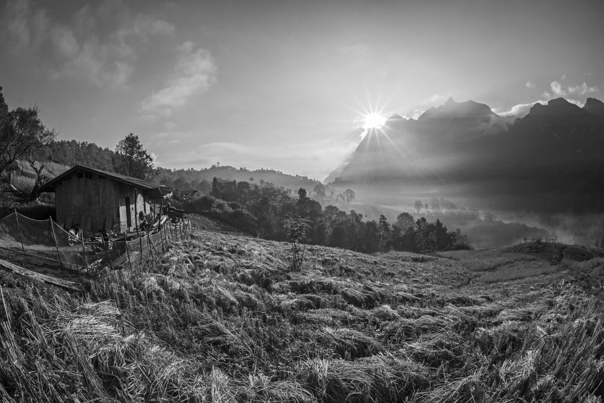 Nikon D600 + Nikon AF Fisheye-Nikkor 16mm F2.8D sample photo. Rice terrace photography