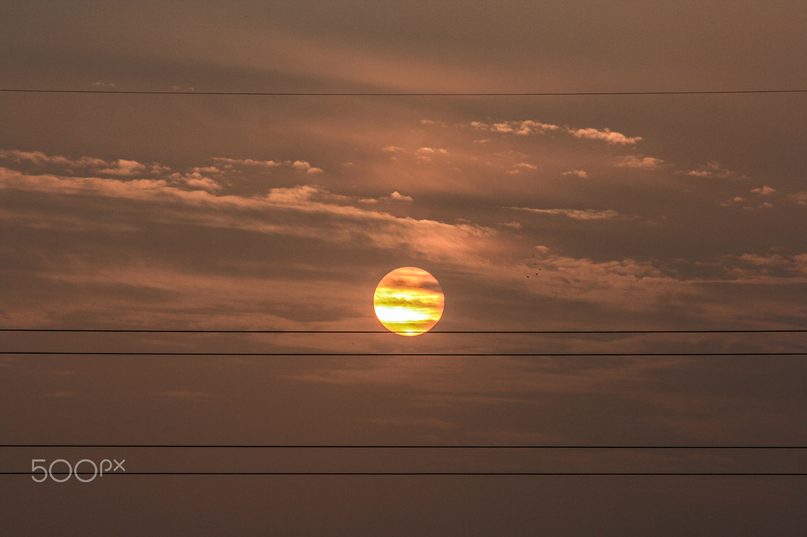 Canon EOS 1000D (EOS Digital Rebel XS / EOS Kiss F) sample photo. A little below the line photography