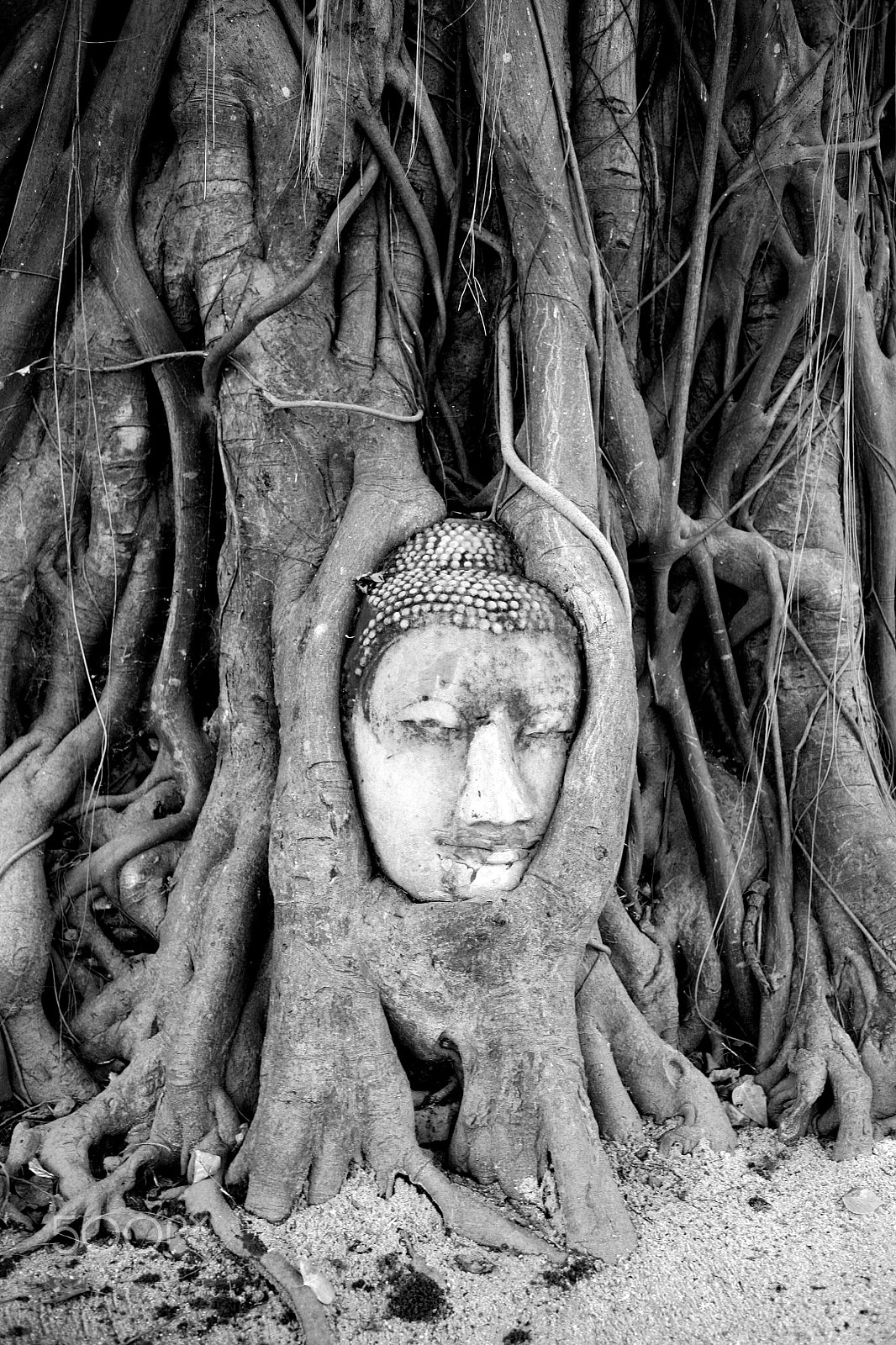Canon EOS 5D + Canon EF 35mm F2 sample photo. Walking in thailand photography