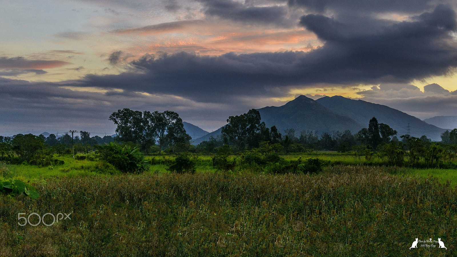 Nikon D800E sample photo. Blue sky with red from the rising sun photography