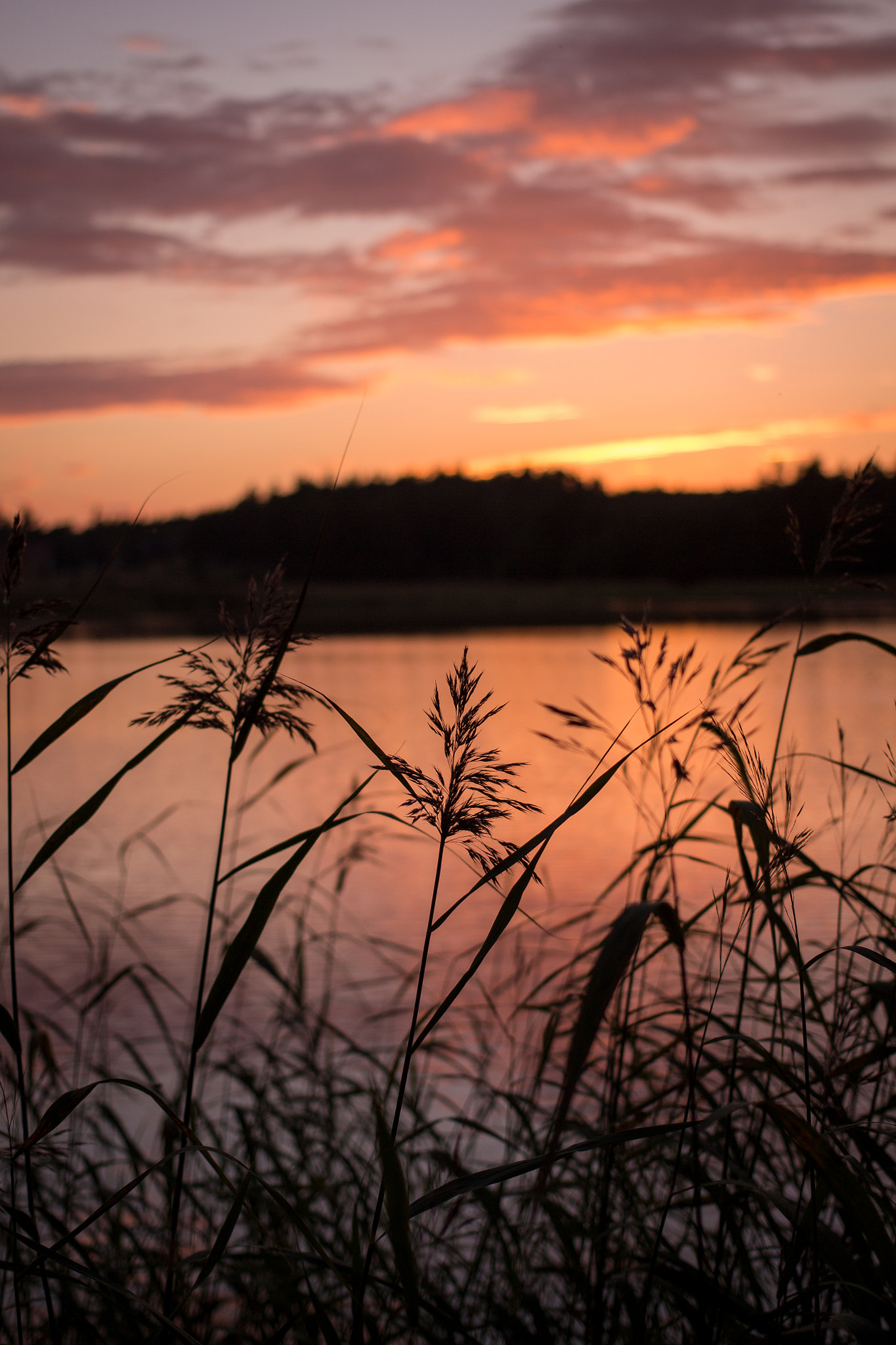 Canon EOS 700D (EOS Rebel T5i / EOS Kiss X7i) + Canon EF 40mm F2.8 STM sample photo. Sunset by the sea photography