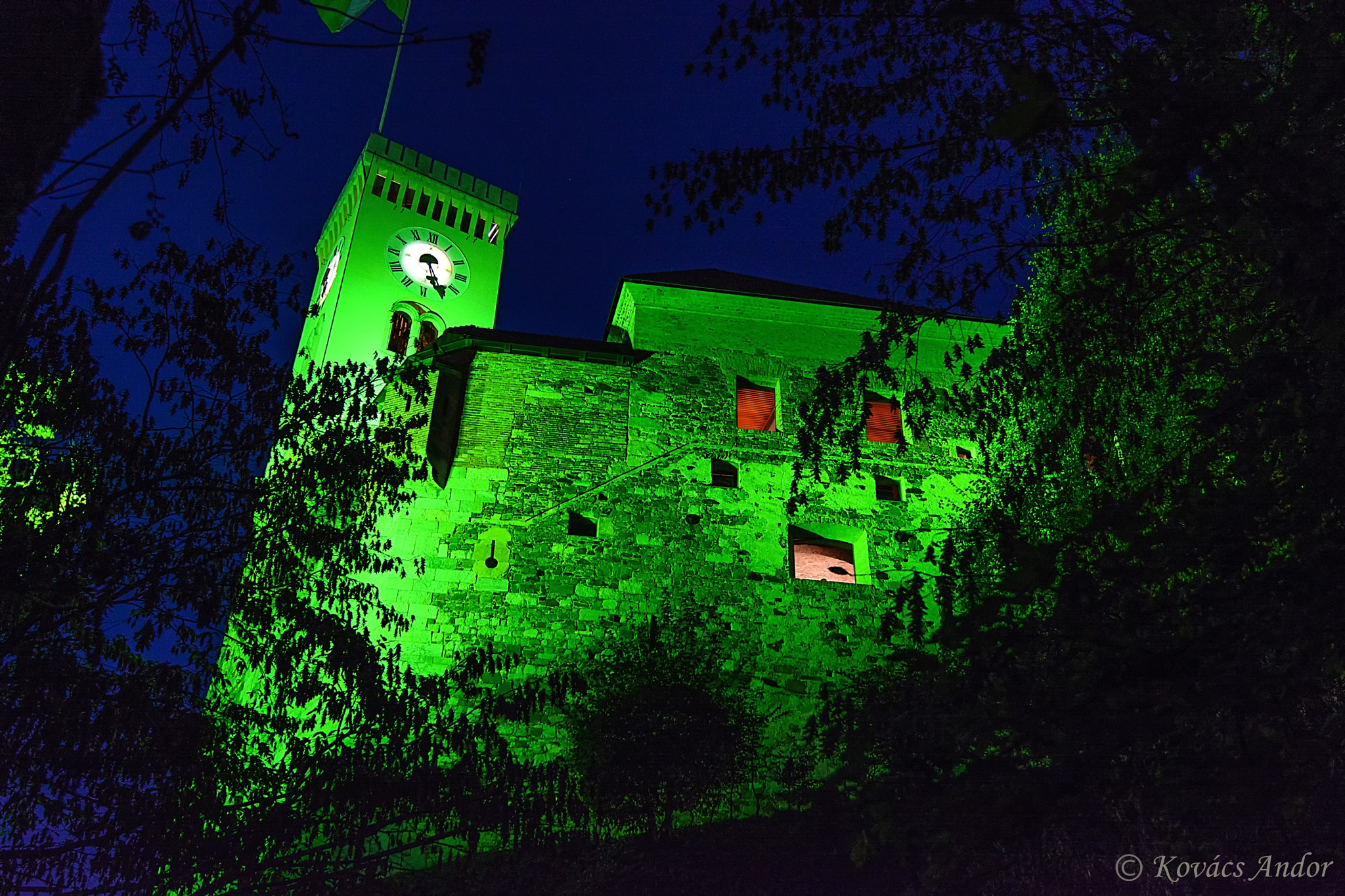 Nikon AF-S Nikkor 16-35mm F4G ED VR sample photo. Castle of ljubljana by night photography