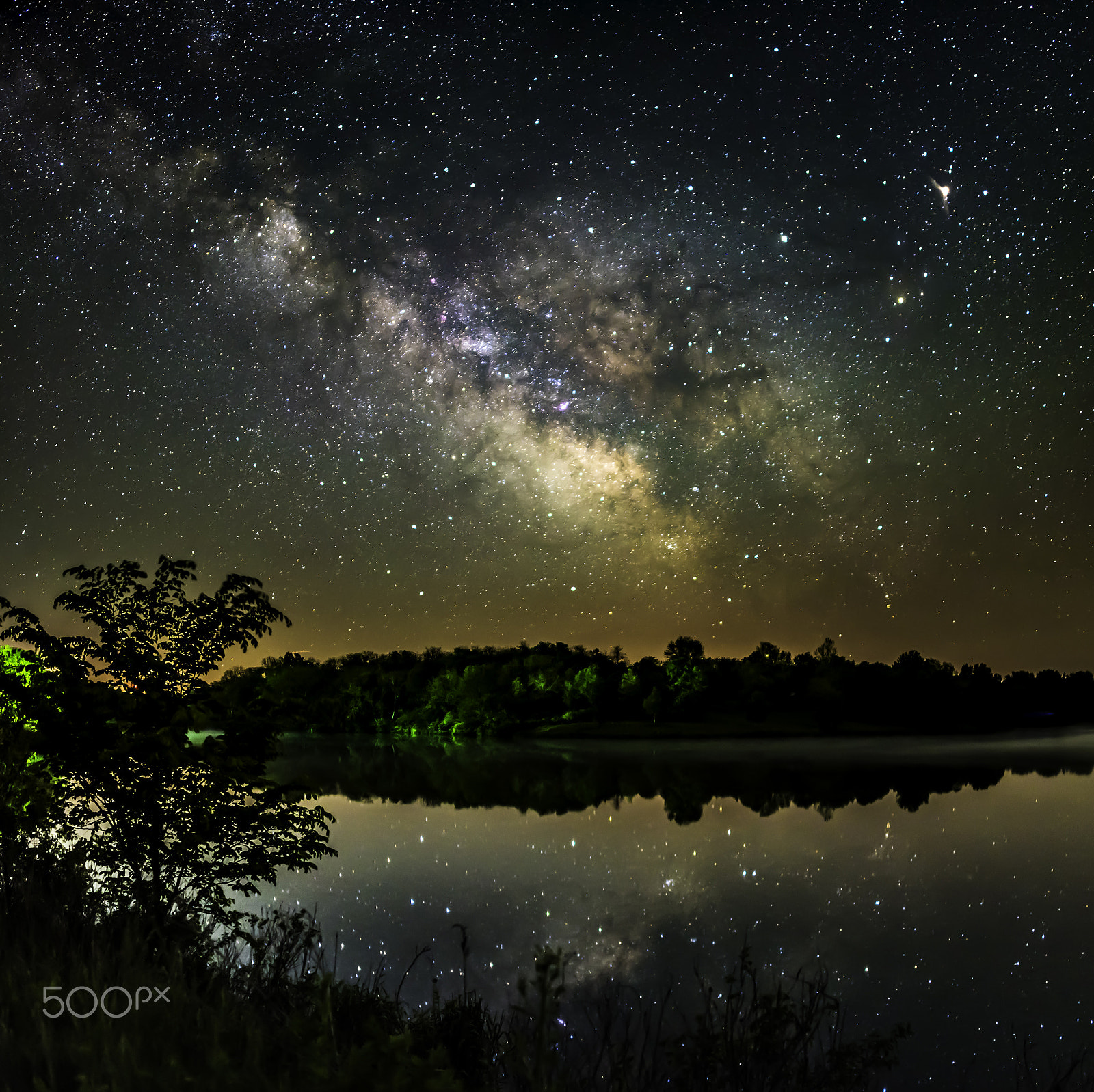 Nikon D750 sample photo. Milky way over bob white state park photography