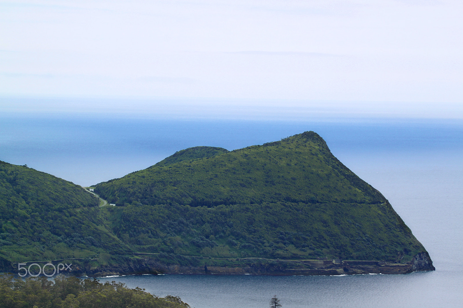 Tamron SP 150-600mm F5-6.3 Di VC USD sample photo. The island photography