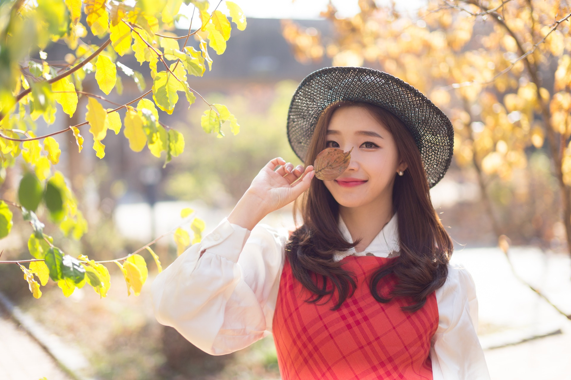 Sony Planar T* 50mm F1.4 ZA SSM sample photo. Yeo_hui #3 photography
