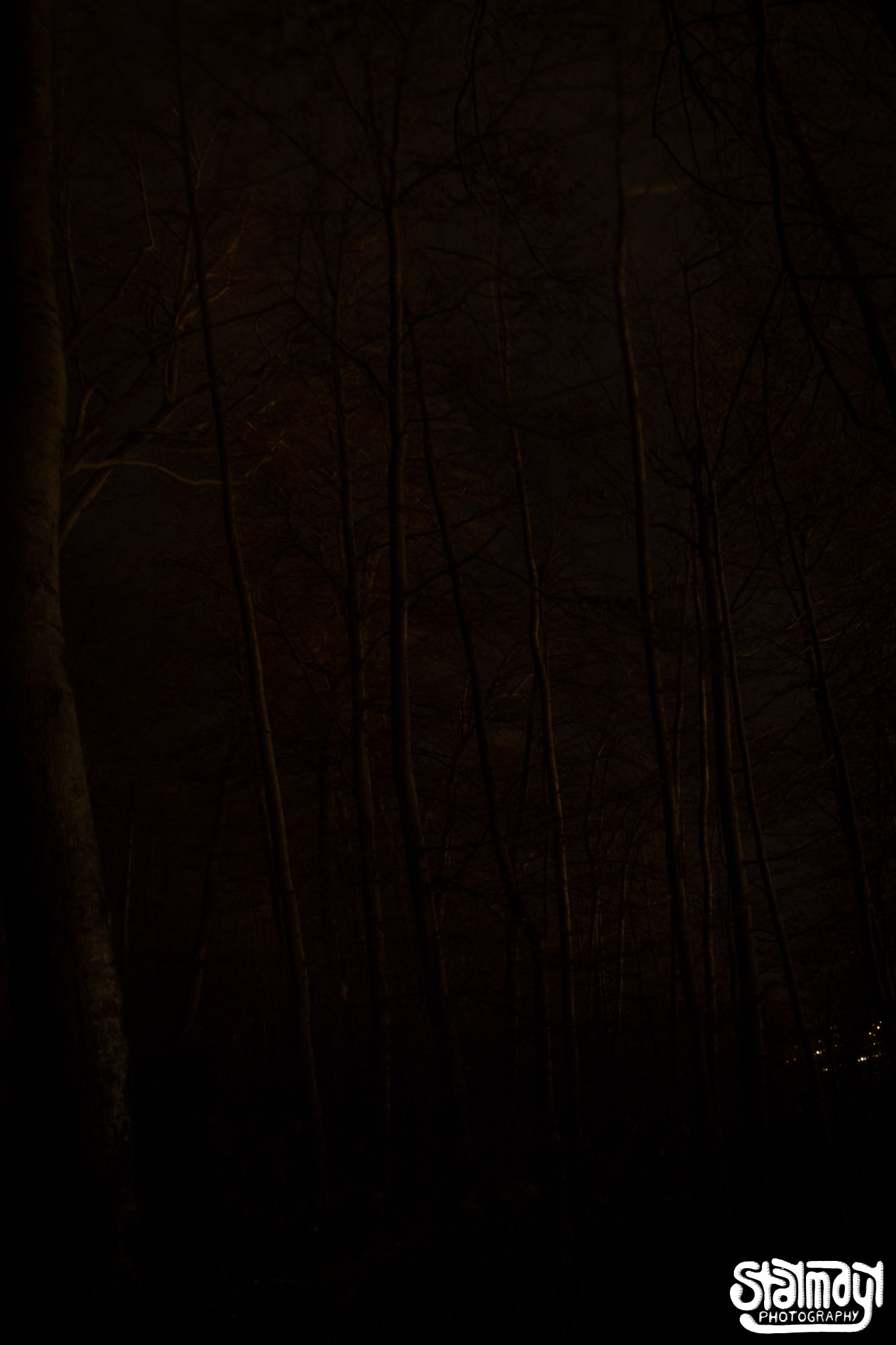 Canon EOS 650D (EOS Rebel T4i / EOS Kiss X6i) sample photo. Ghostly tree #2 photography
