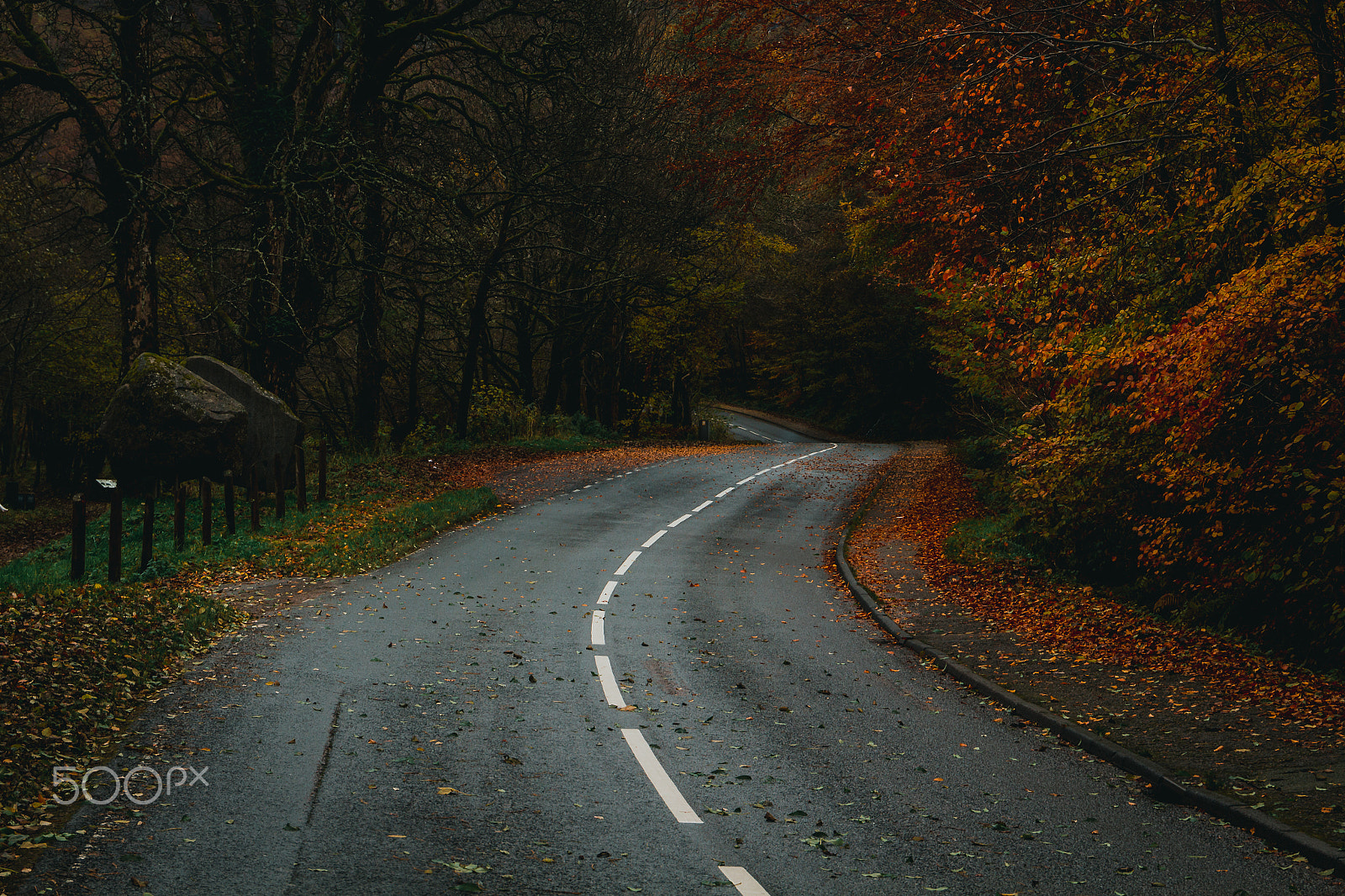 Canon EOS 650D (EOS Rebel T4i / EOS Kiss X6i) sample photo. Winding ways. photography