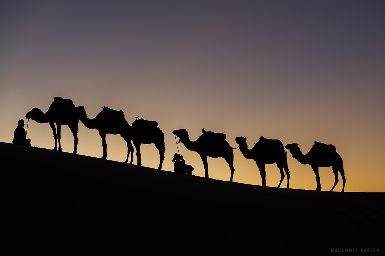 Nikon AF-S Nikkor 70-200mm F4G ED VR sample photo. Morocco photography