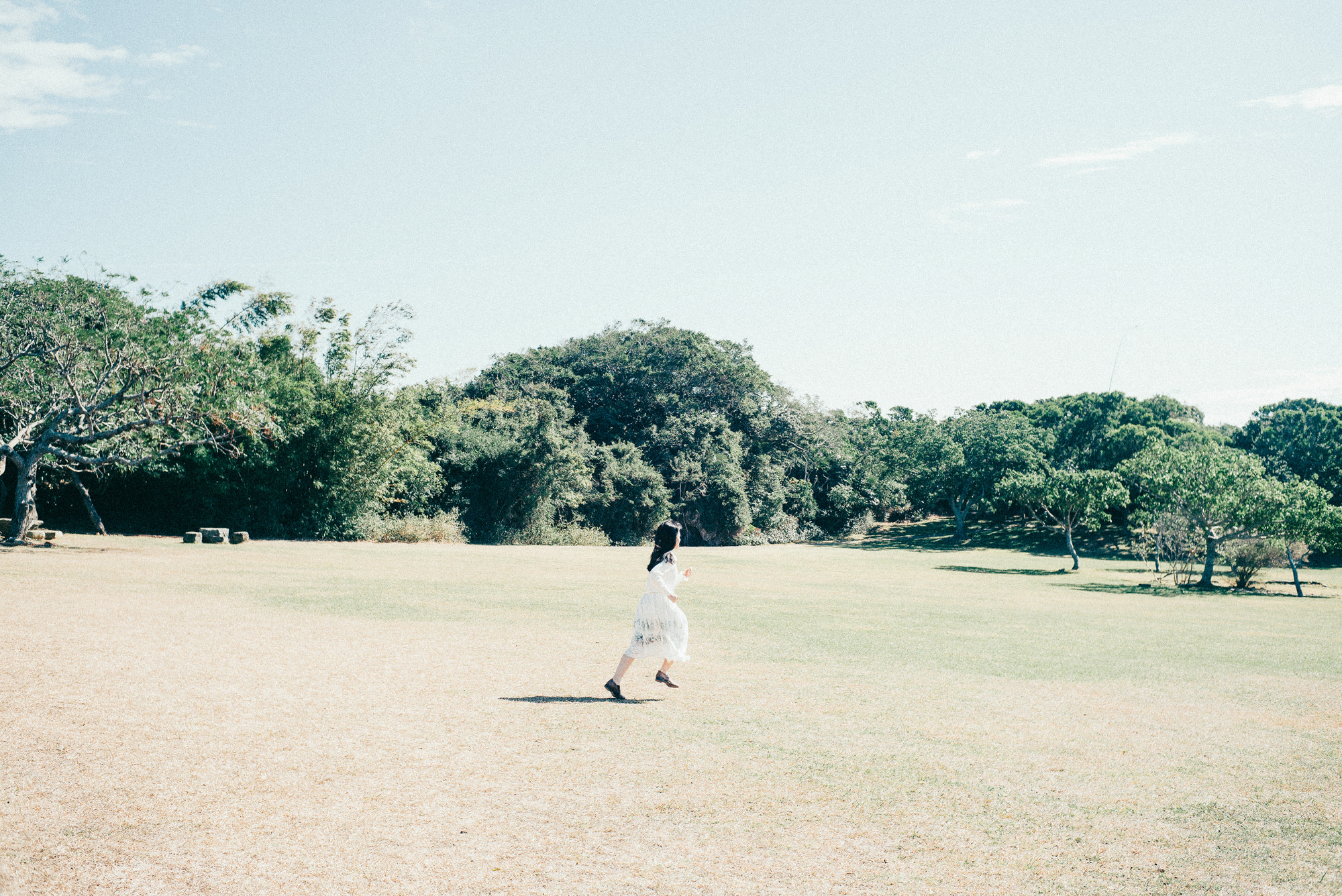 Noctilux-M 1:1.2/50 sample photo. Bbq photography