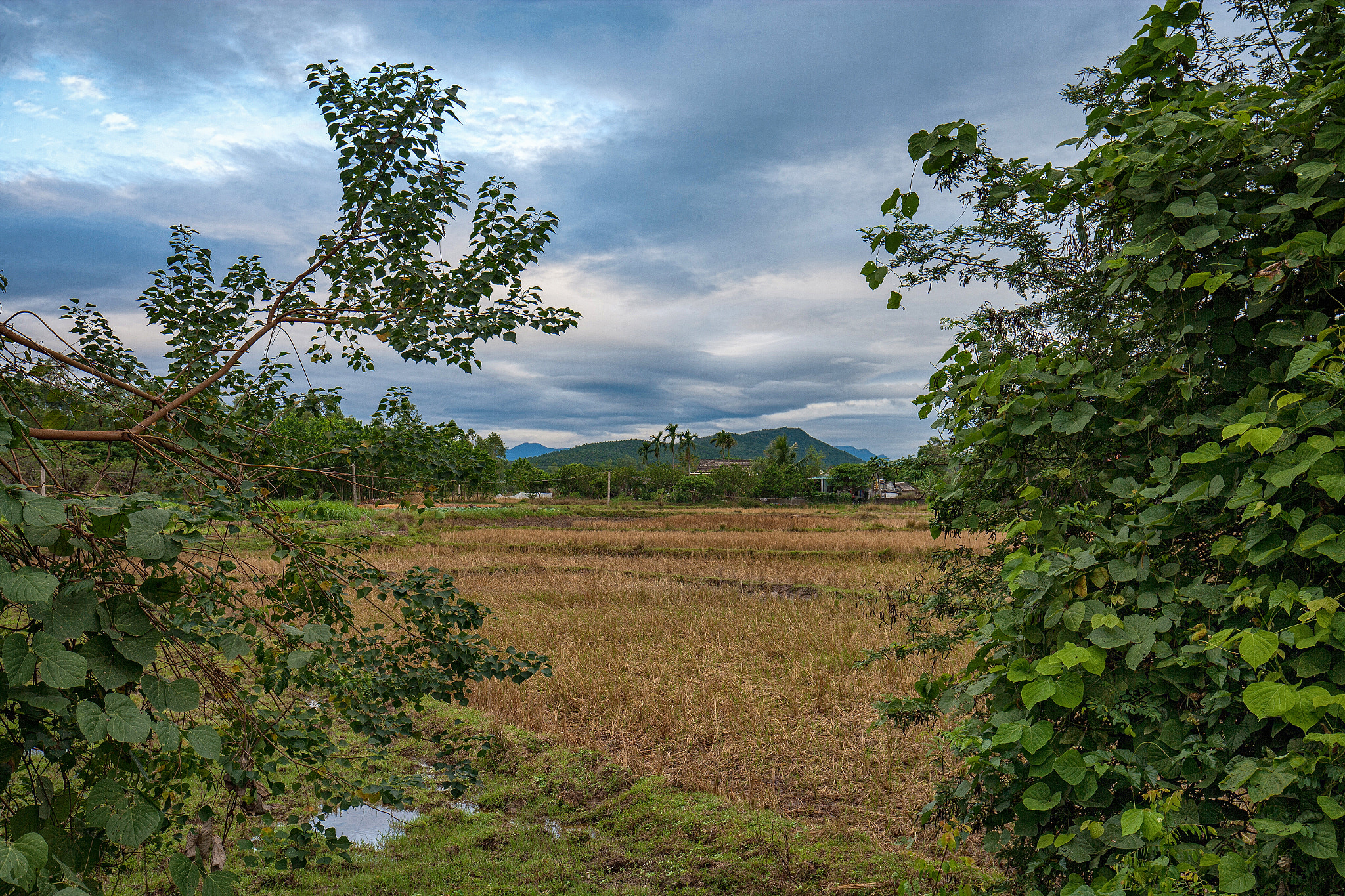 Canon EOS-1Ds Mark II sample photo. Vtq photography