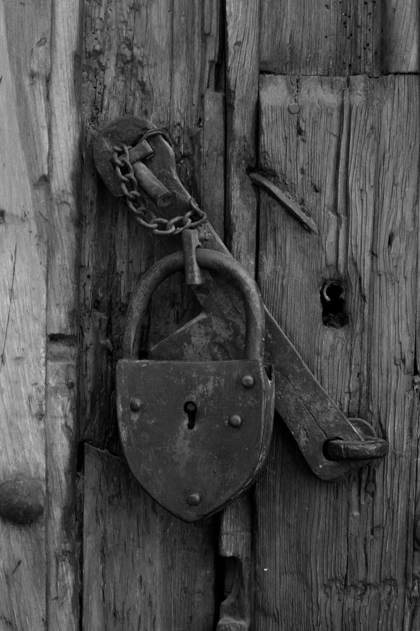 Canon EF 50mm f/1.8 sample photo. Sin título photography