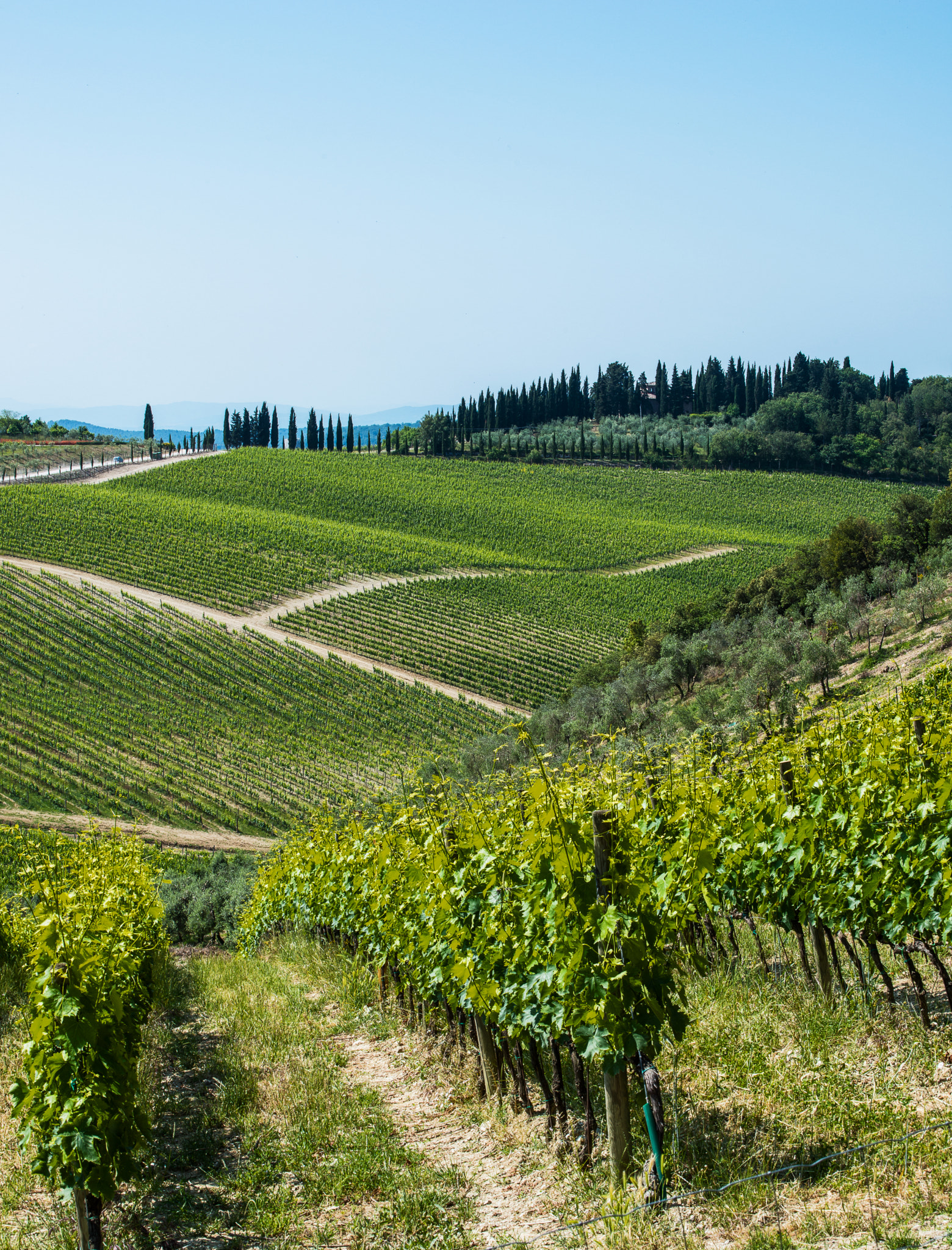 Tuscany-Landscape 2