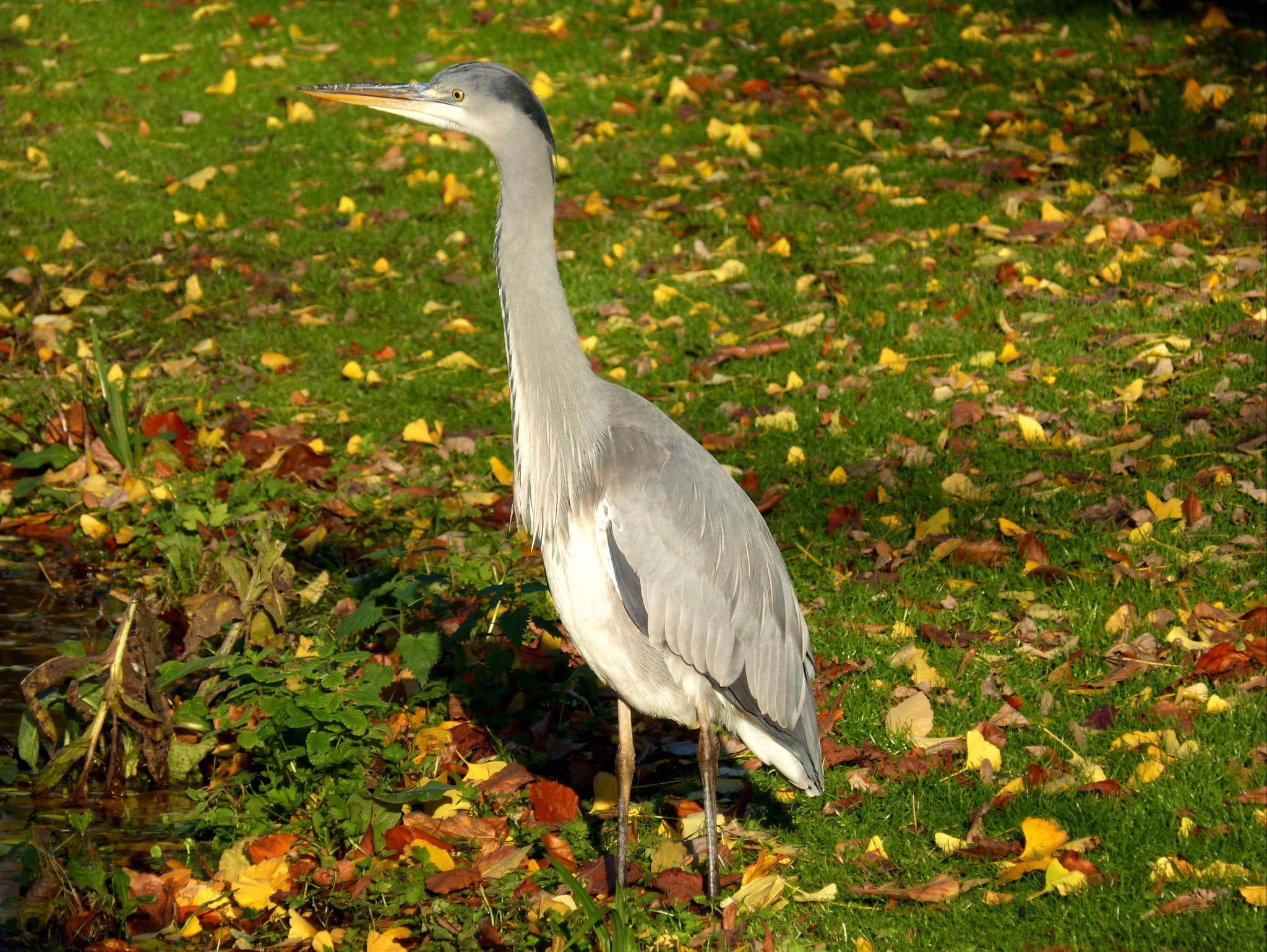 v2?sig=fdb429ebf8f5939faa0e0b91847f07832abe0636aa88a46408fd64a9fbec5c80