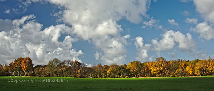 Fall