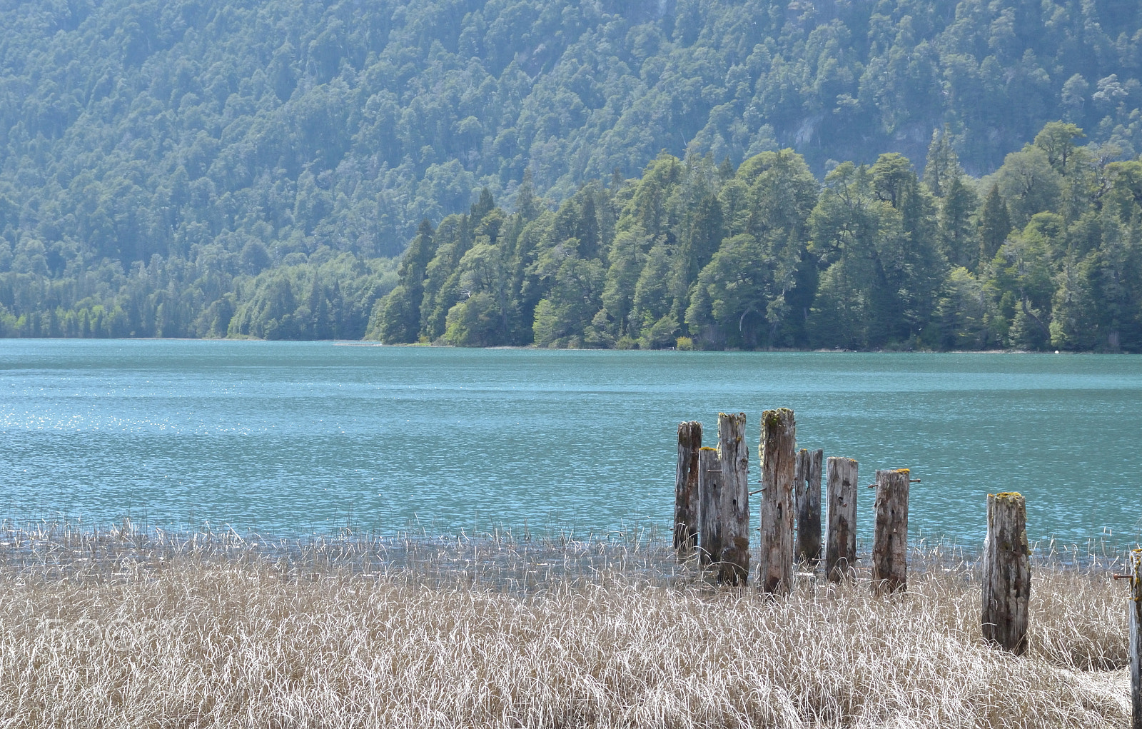 Nikon D7000 sample photo. Lago frías photography