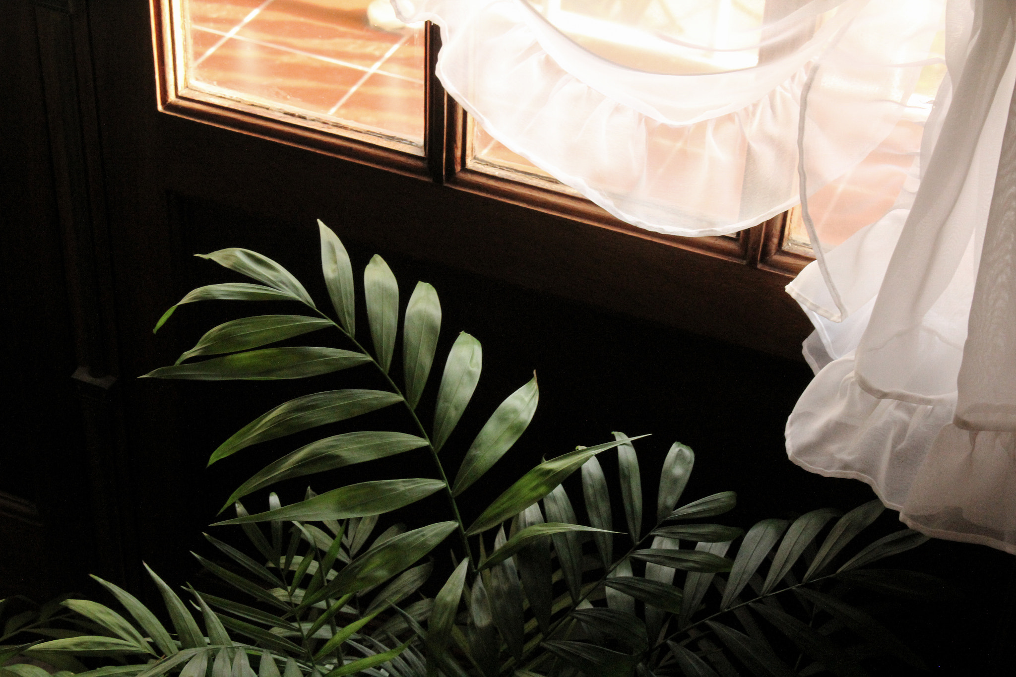 Canon EOS 1200D (EOS Rebel T5 / EOS Kiss X70 / EOS Hi) sample photo. House decoration photography