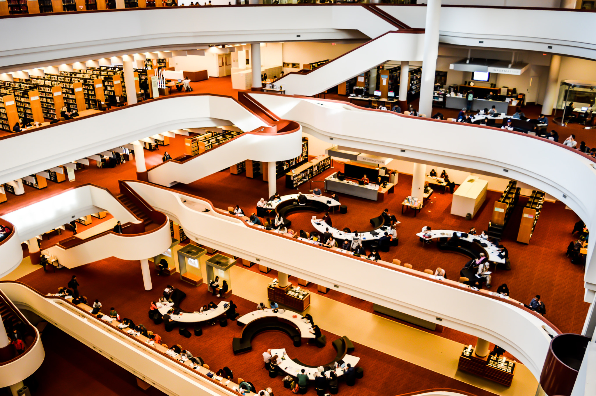 Shutter Bugs & Book Worms